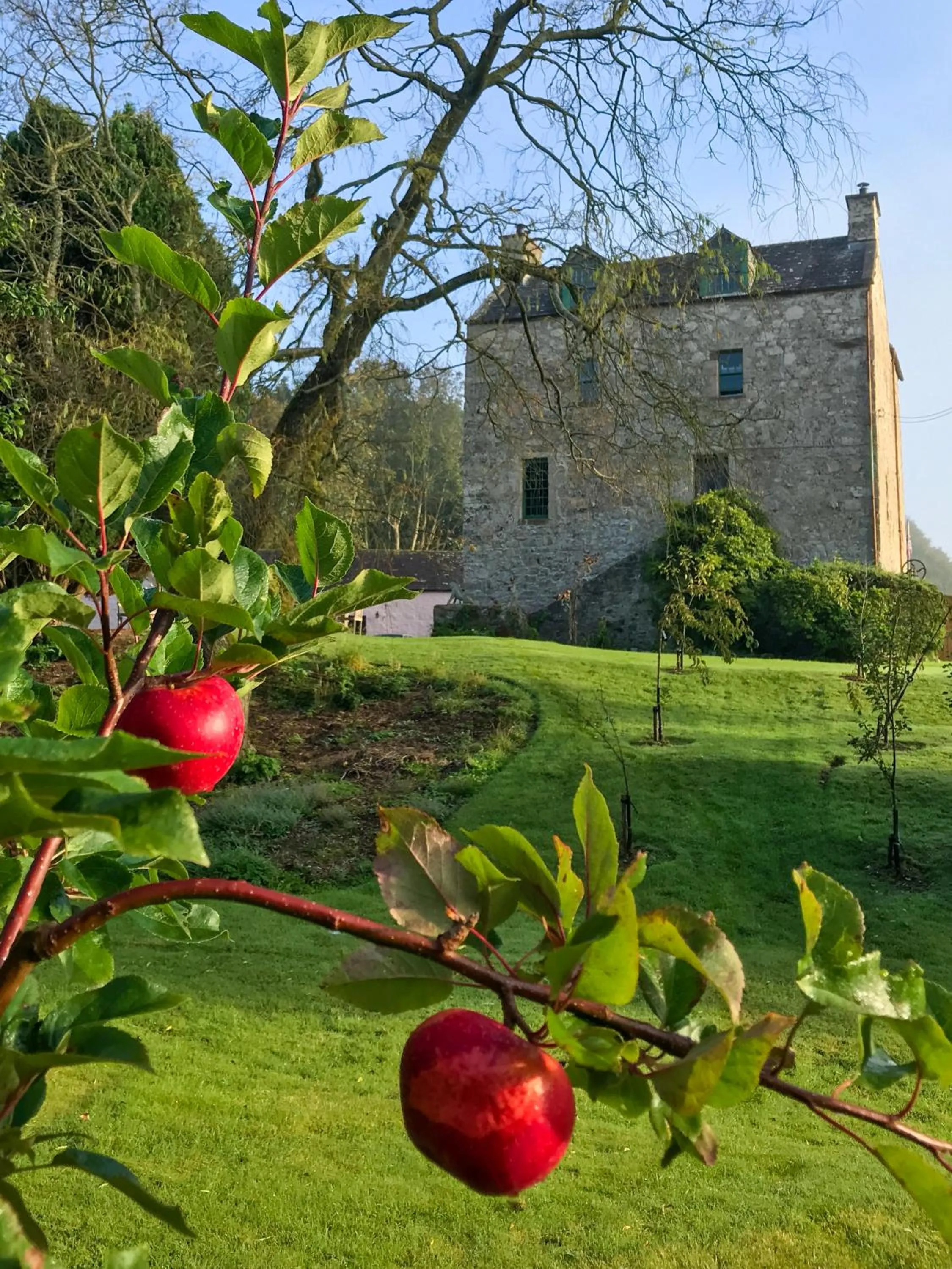Garden in The Lady Maxwell Room at Buittle Castle