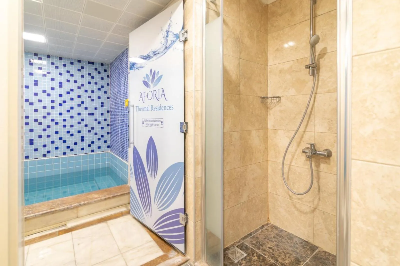 Shower in Aforia Thermal Residences