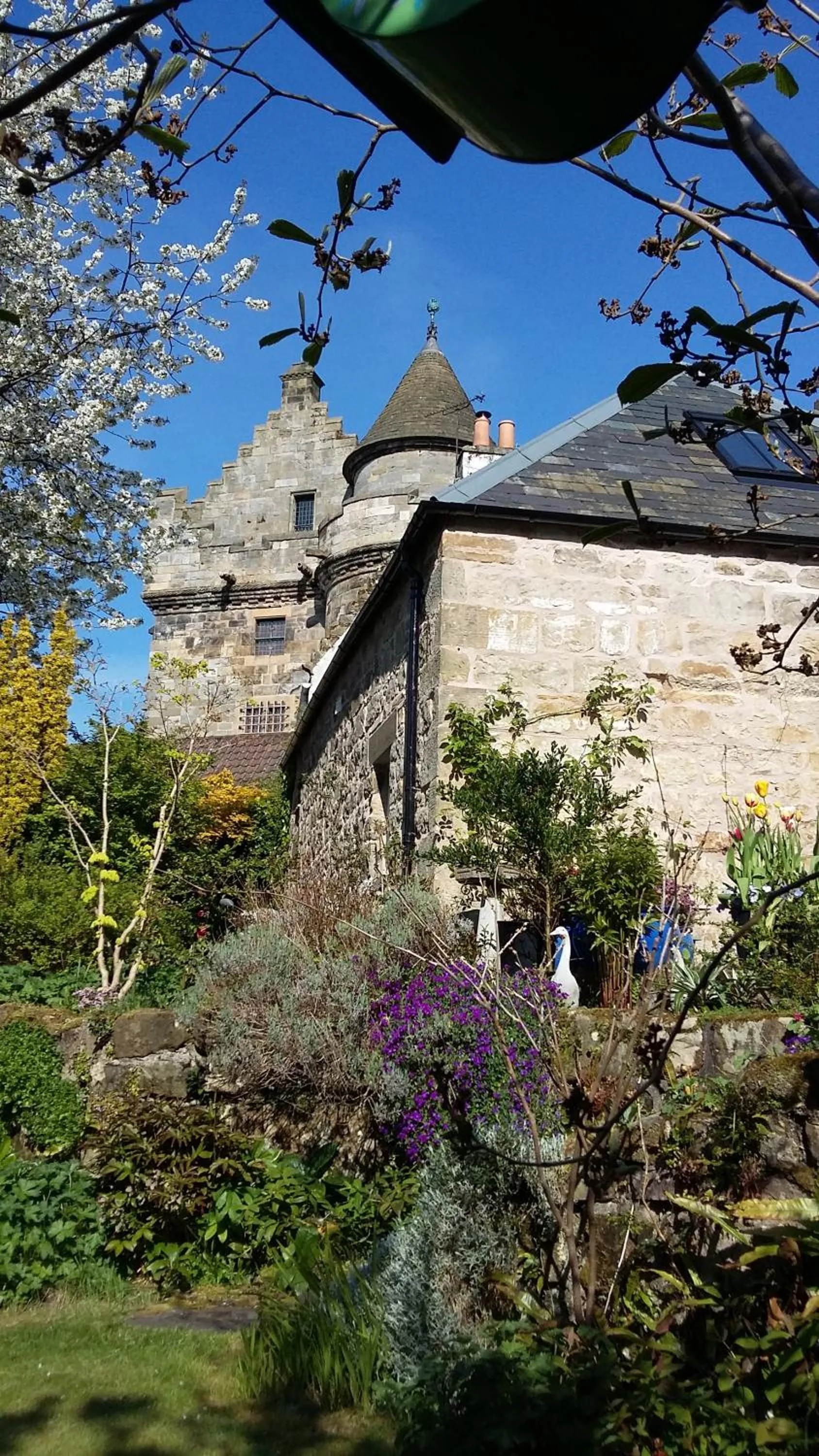 Garden in The Studio at Maspie House