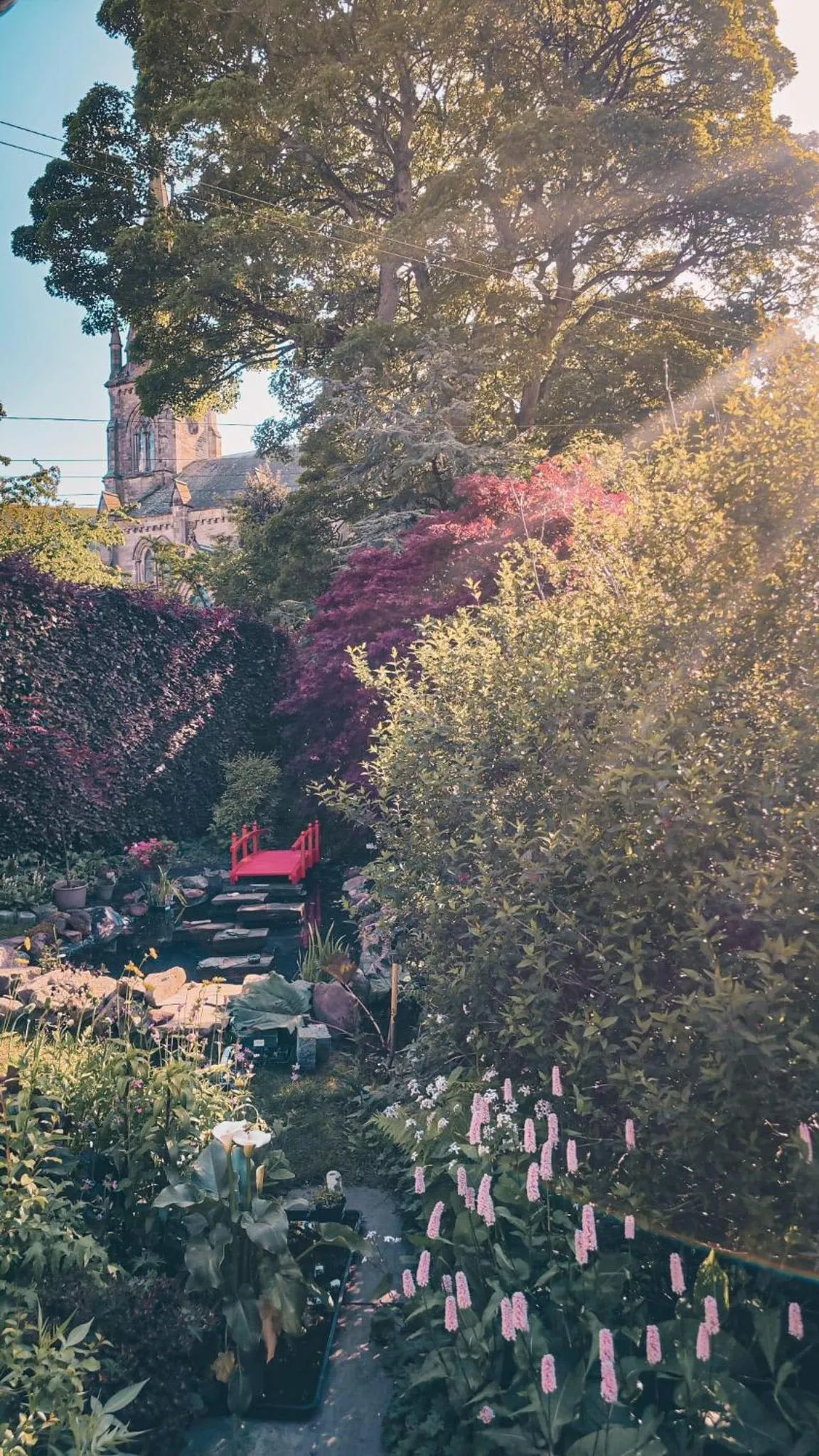 Garden view in The Studio at Maspie House