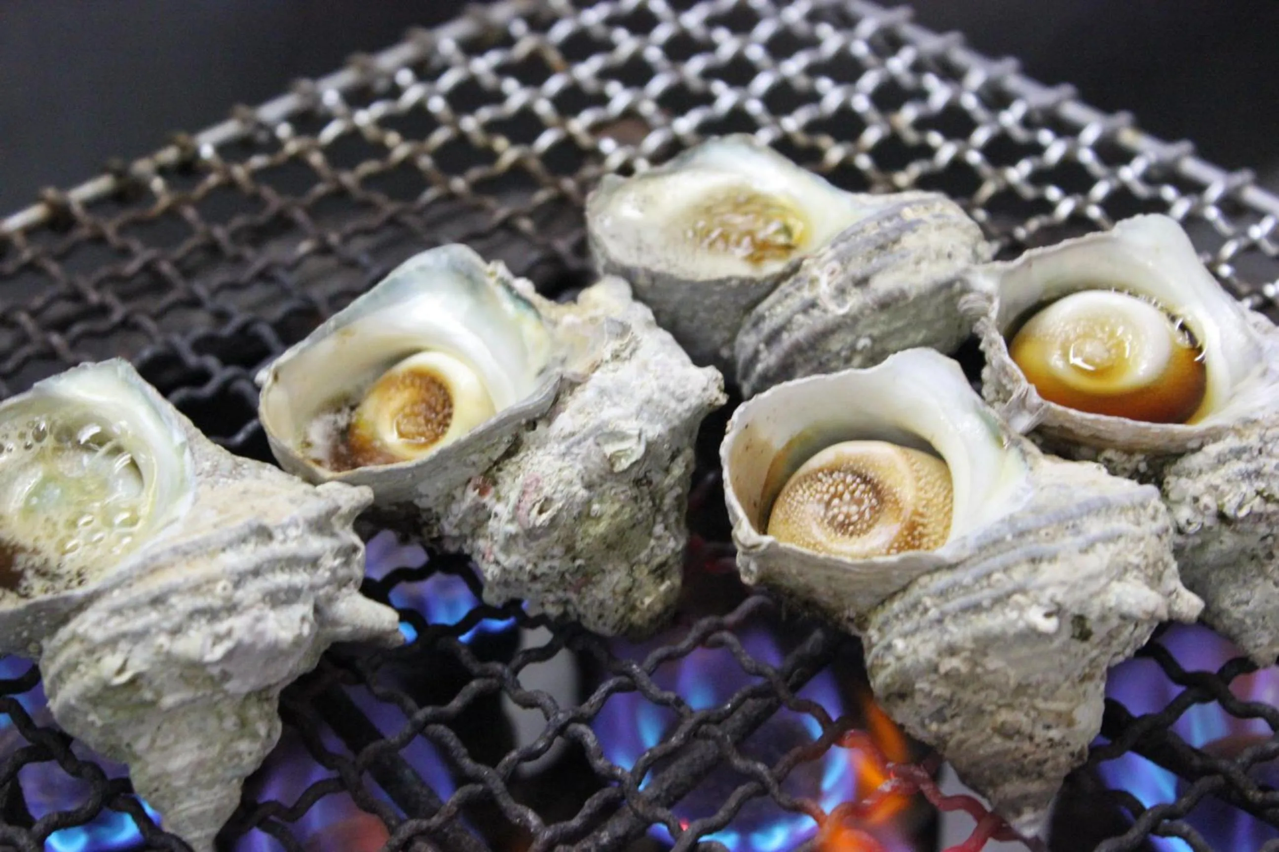 Food in Izuajiro-onsen Shoufuen