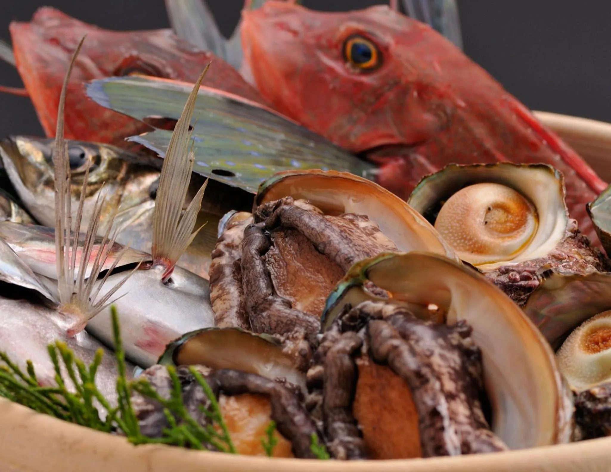 Food close-up in Izuajiro-onsen Shoufuen