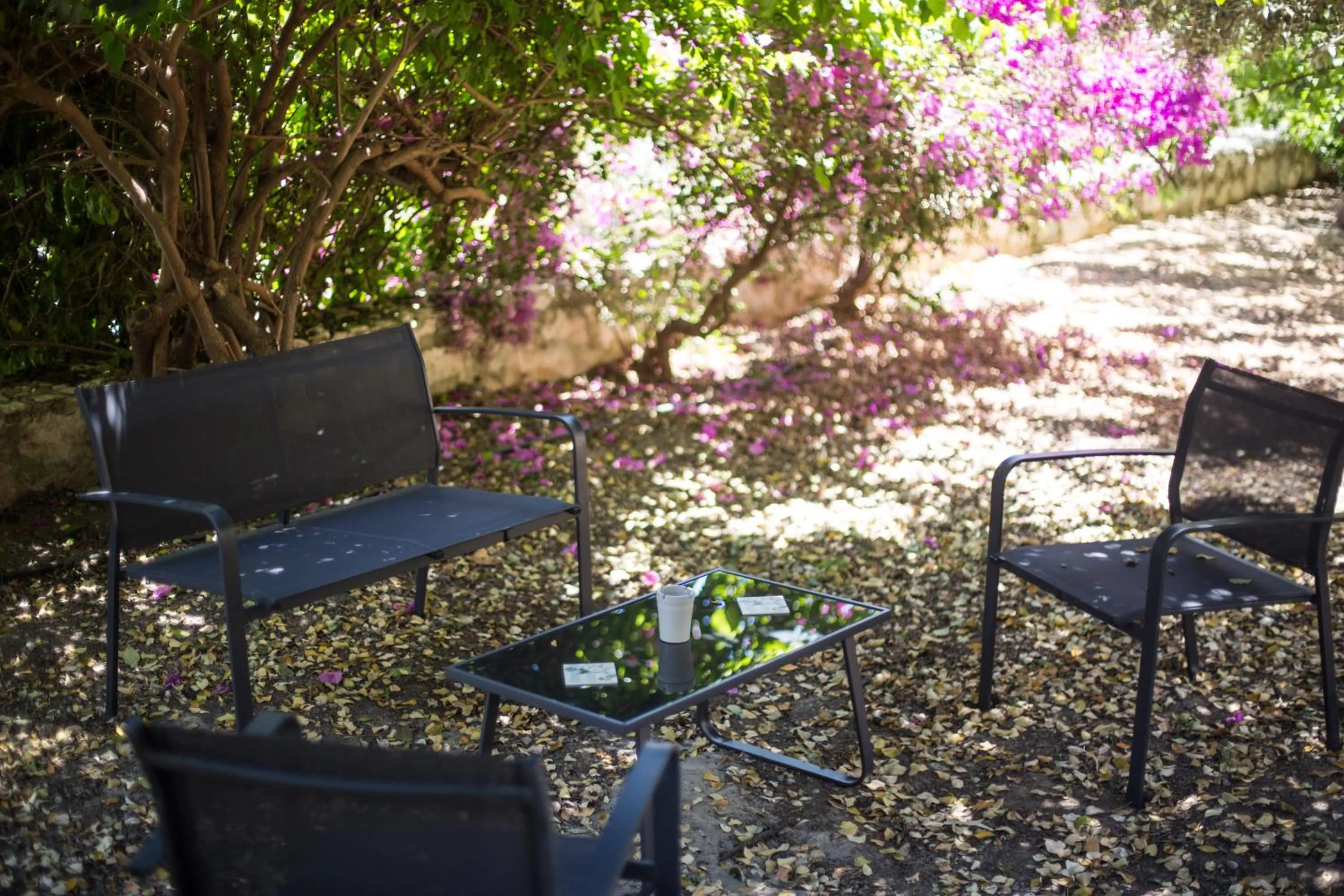 Likya Yolu Palas Hotel