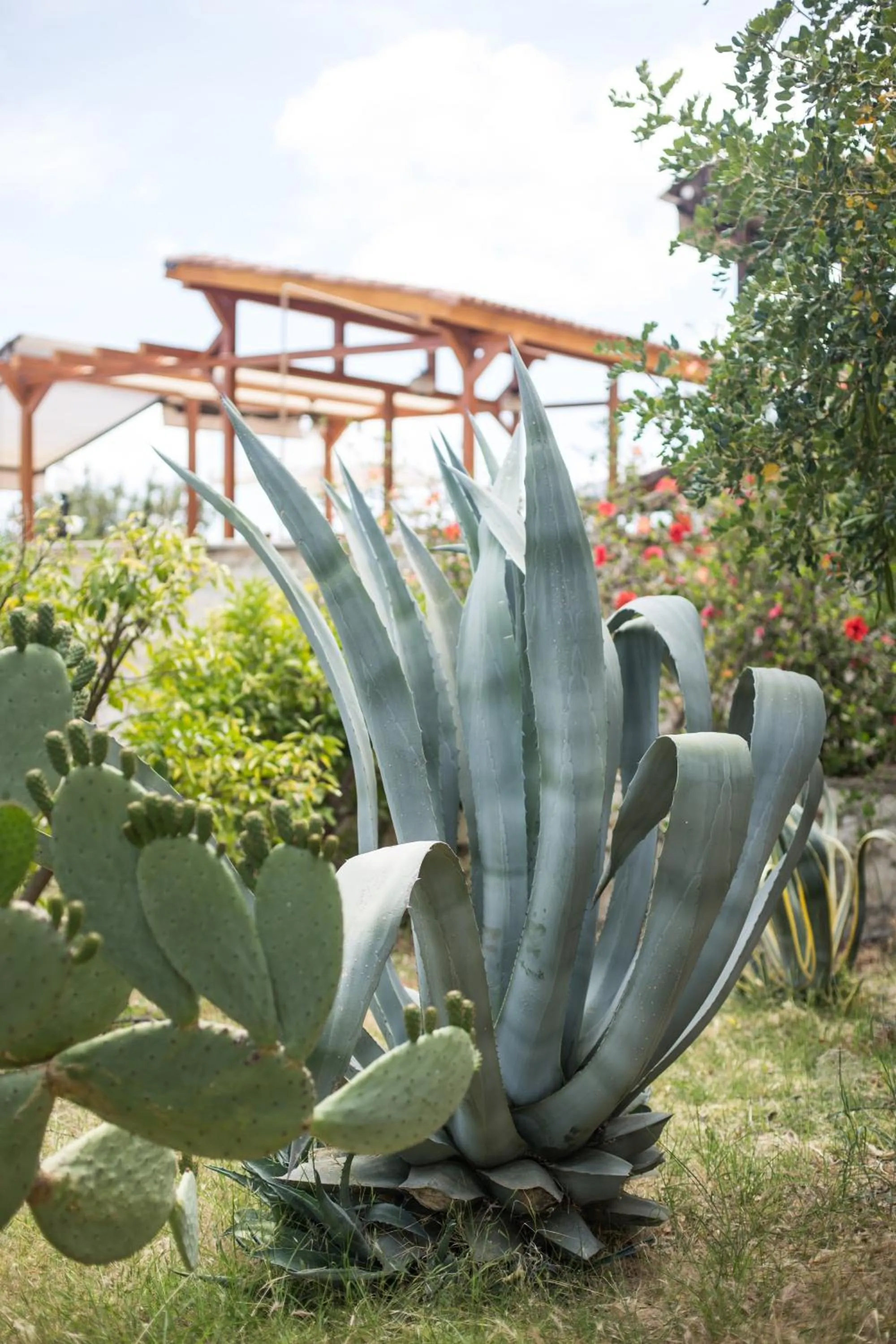 Likya Yolu Palas Hotel