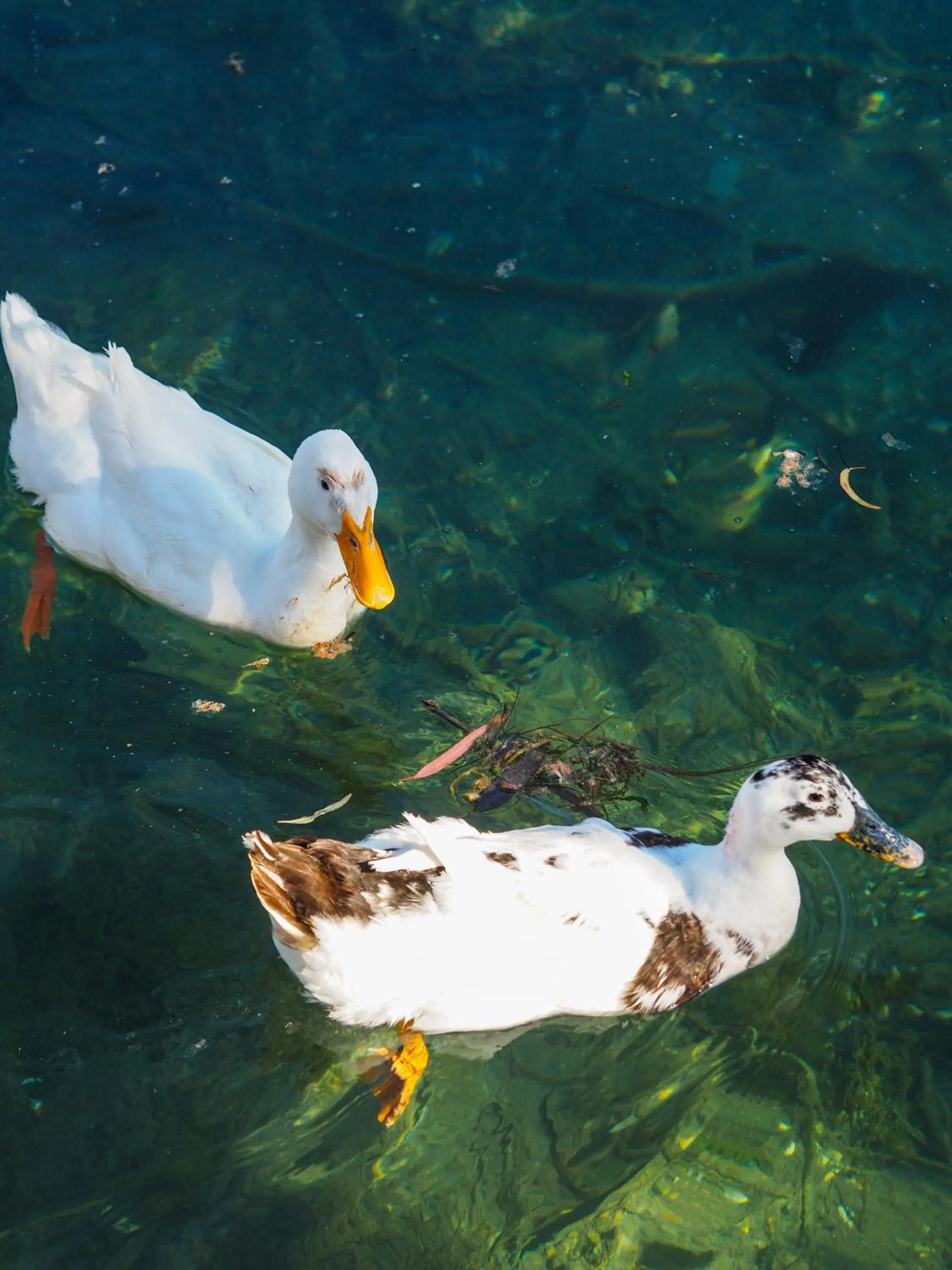 Likya Yolu Palas Hotel