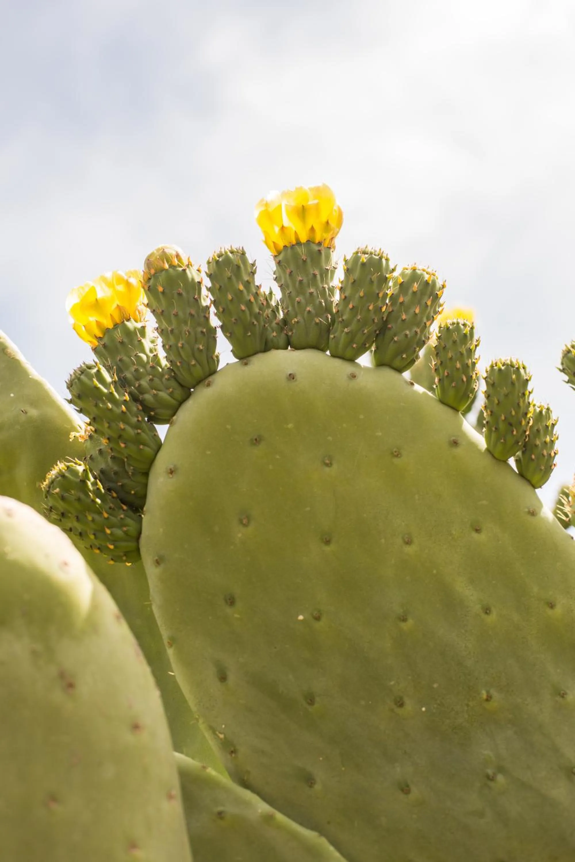 Likya Yolu Palas Hotel