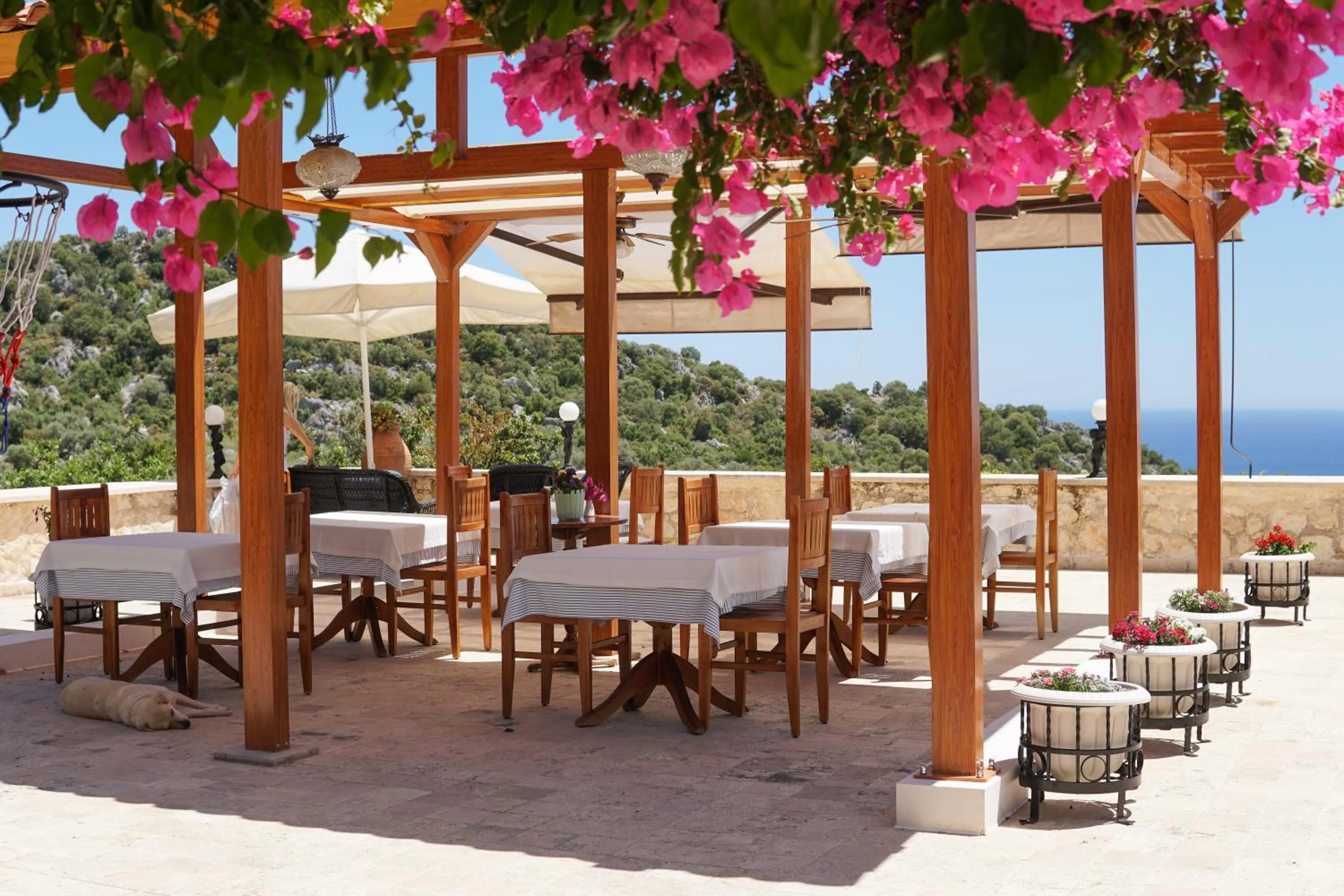 Likya Yolu Palas Hotel