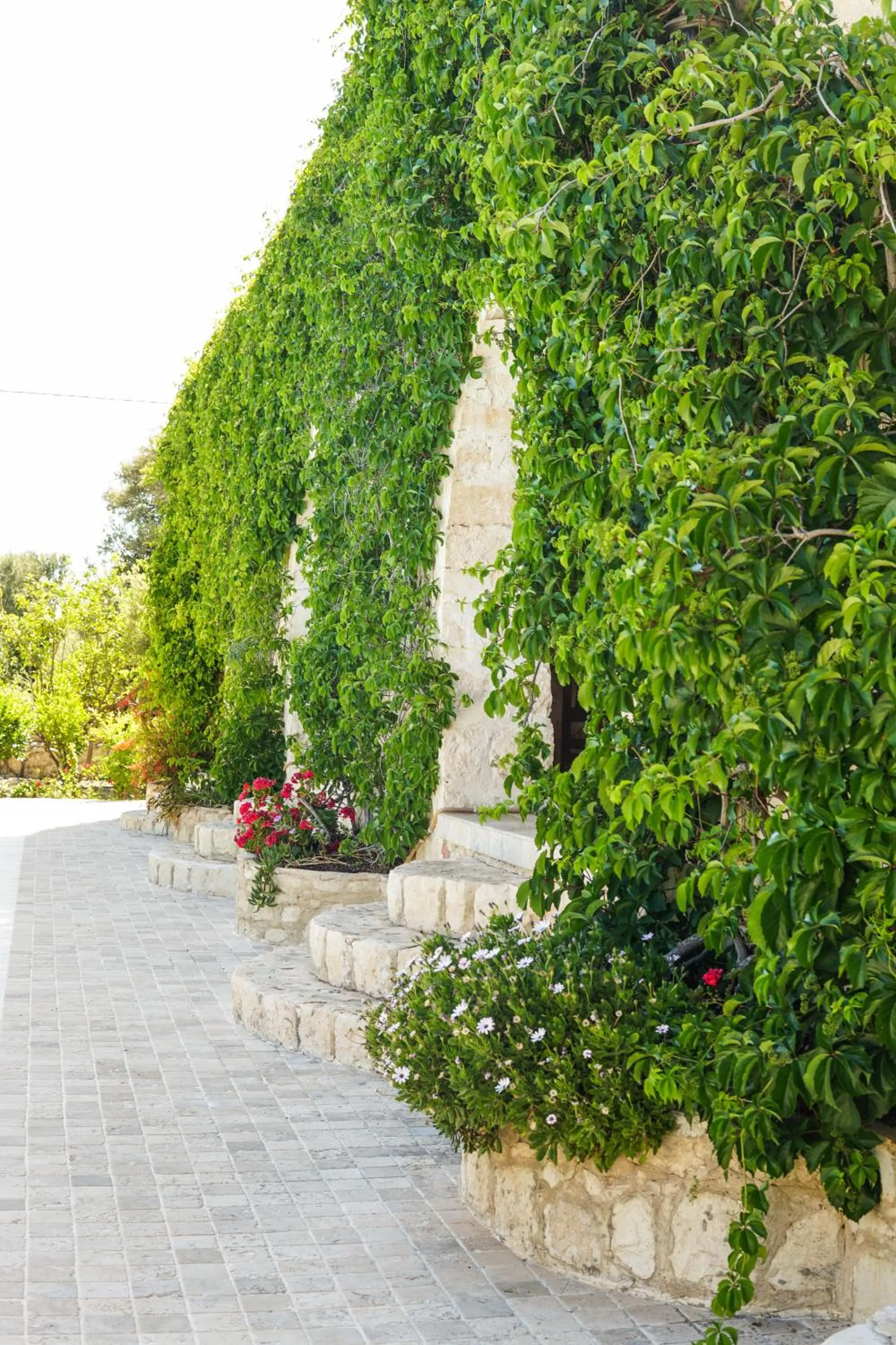Garden in Likya Yolu Palas Hotel