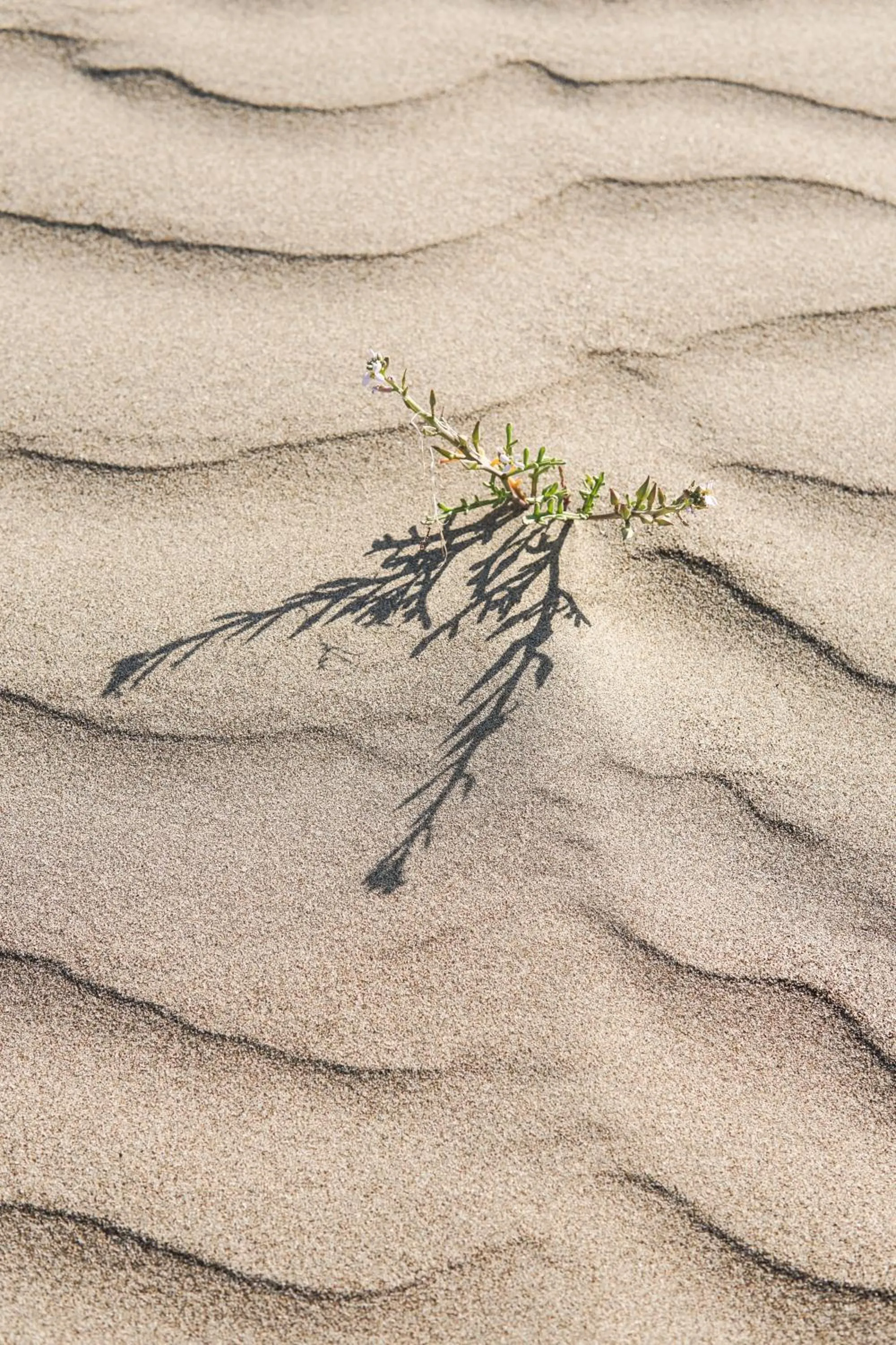 Likya Yolu Palas Hotel