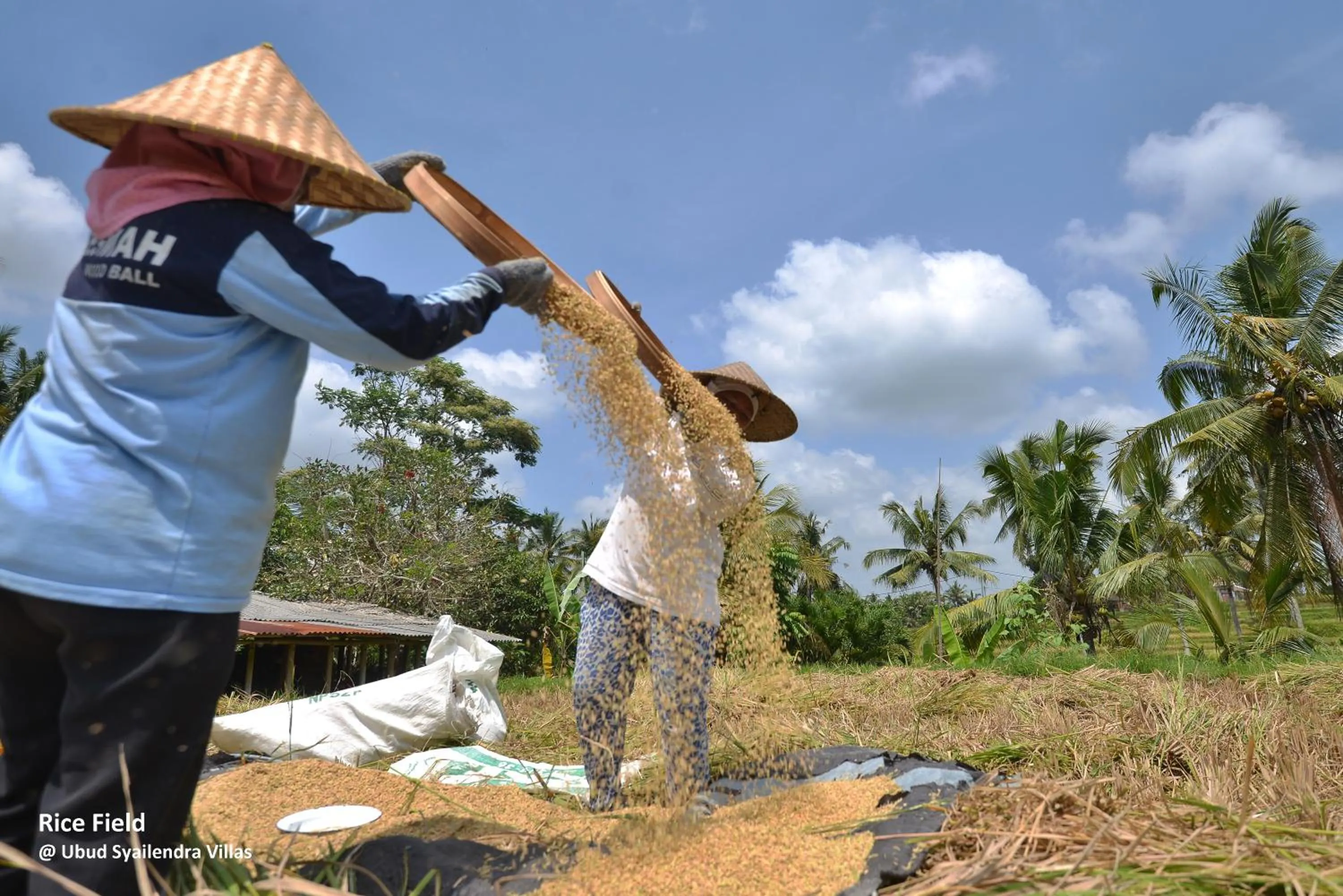Day in Ubud Syailendra Villas