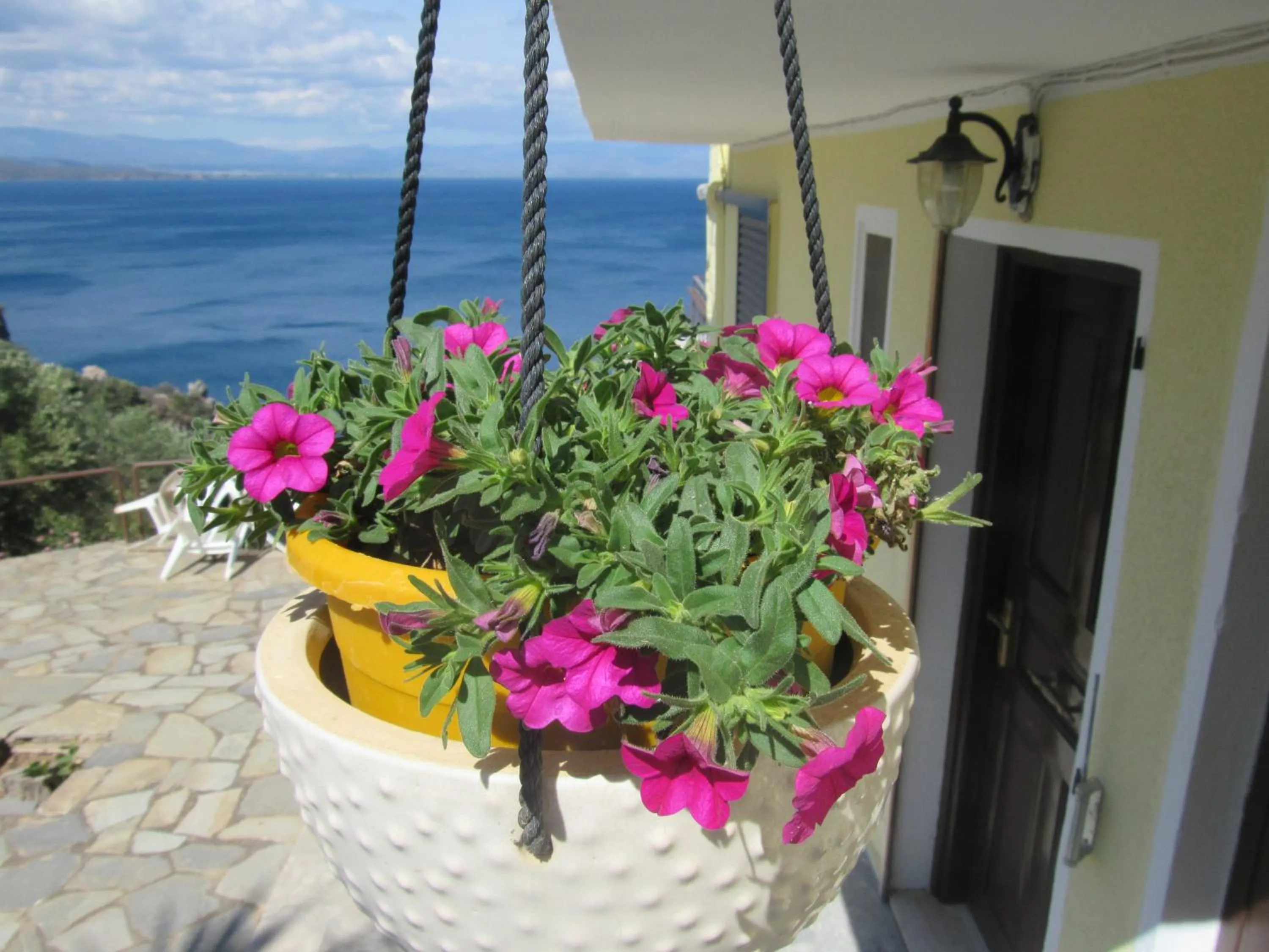 Property building in Kallisto studios