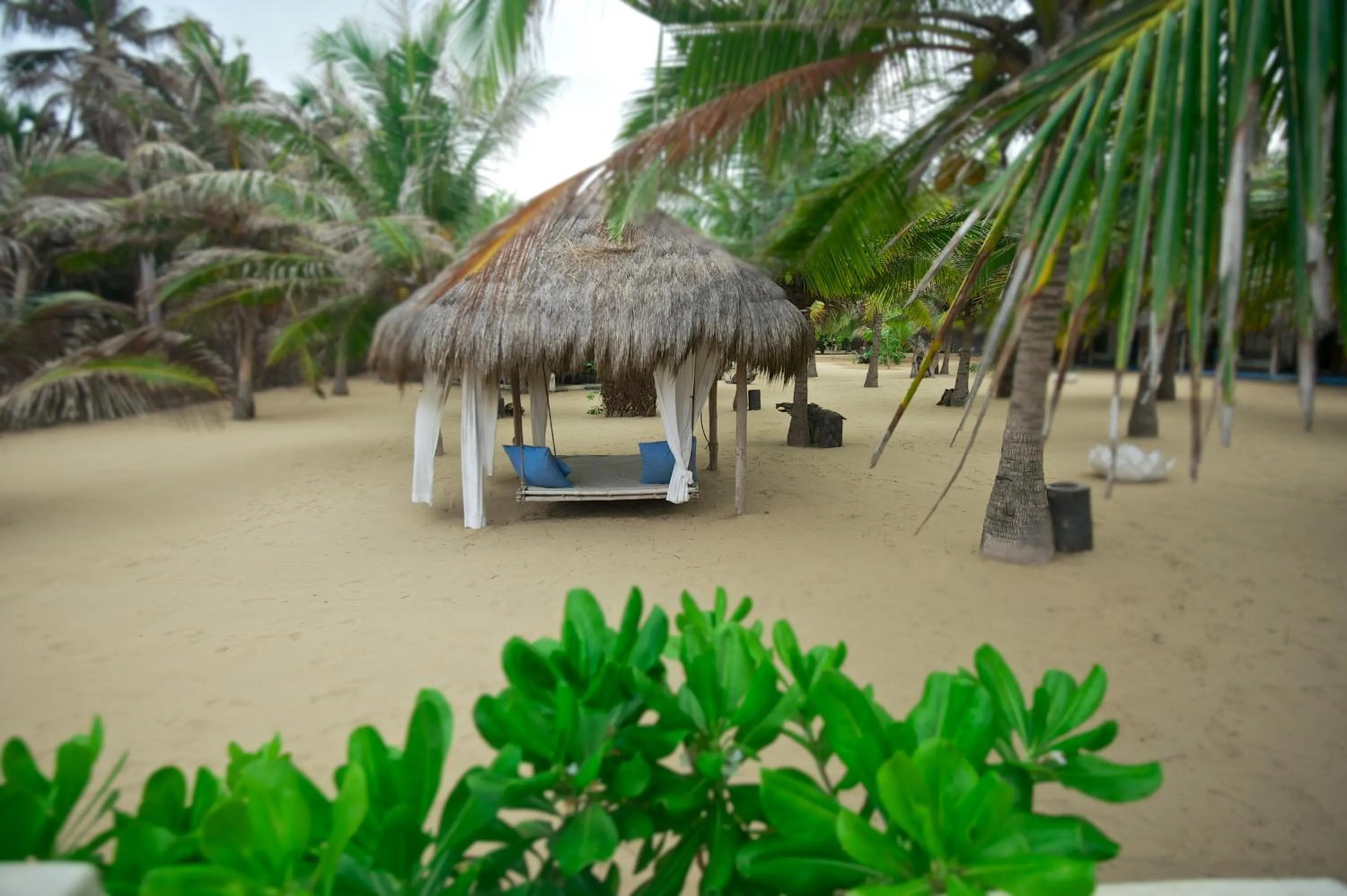 Other in Dolphin Beach Resort