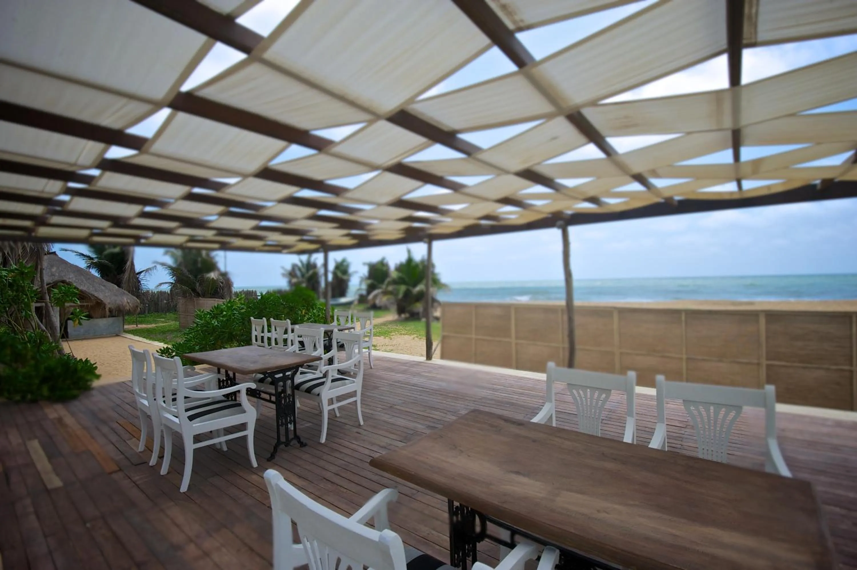 Day in Dolphin Beach Resort