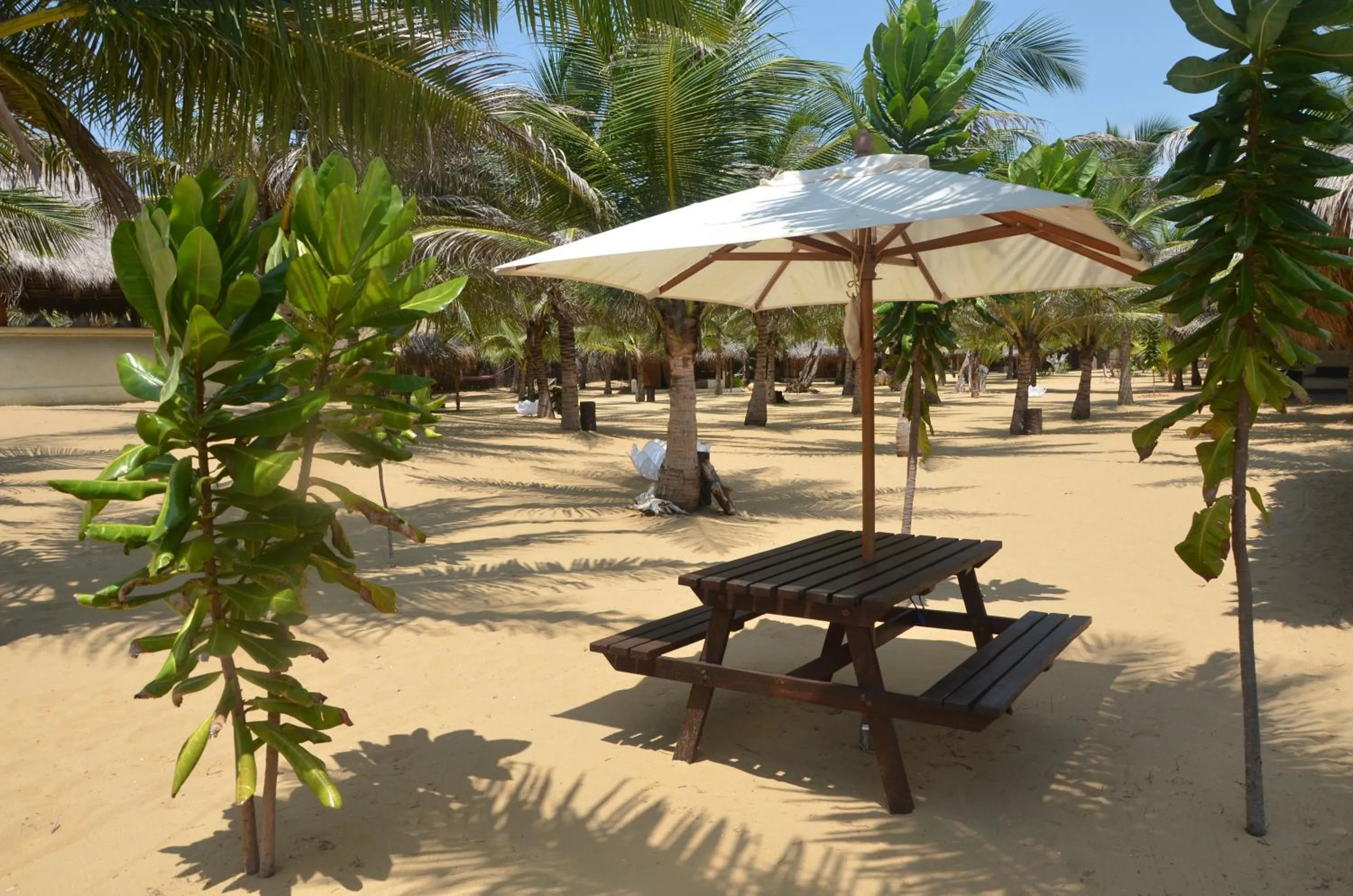 Patio in Dolphin Beach Resort