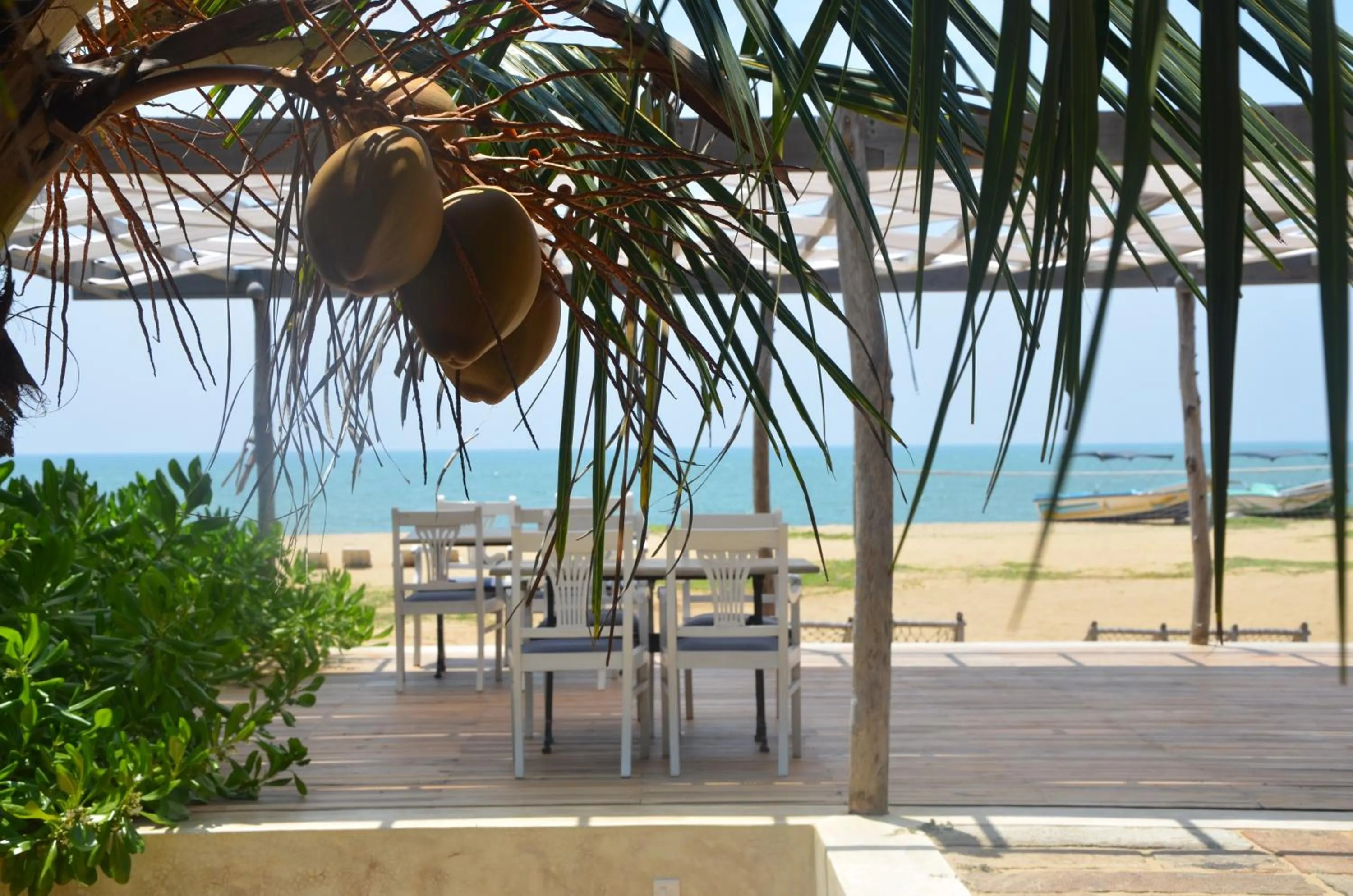 Day in Dolphin Beach Resort