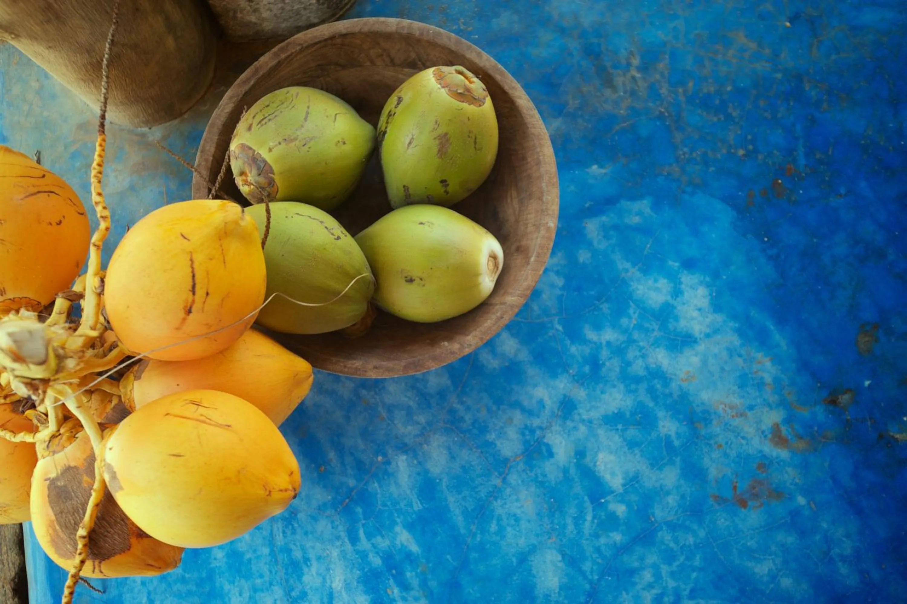 Other in Dolphin Beach Resort