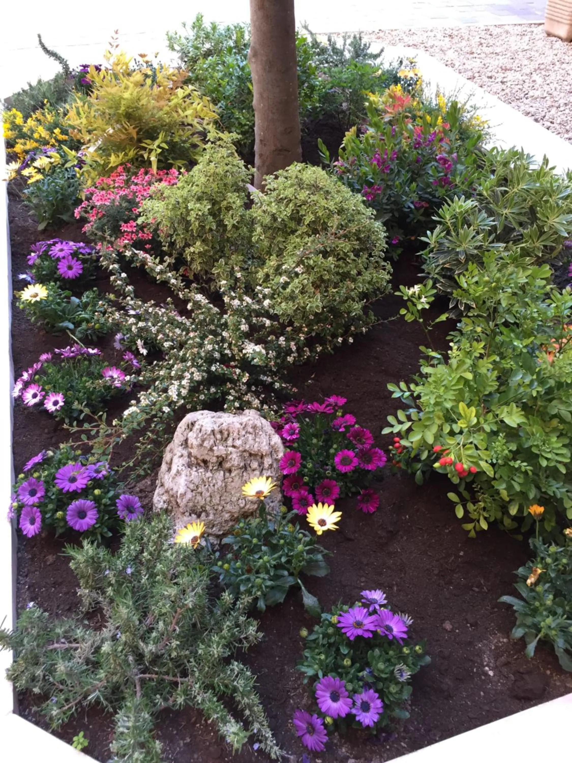 Garden view in b&b Gio Colosseo - Celio