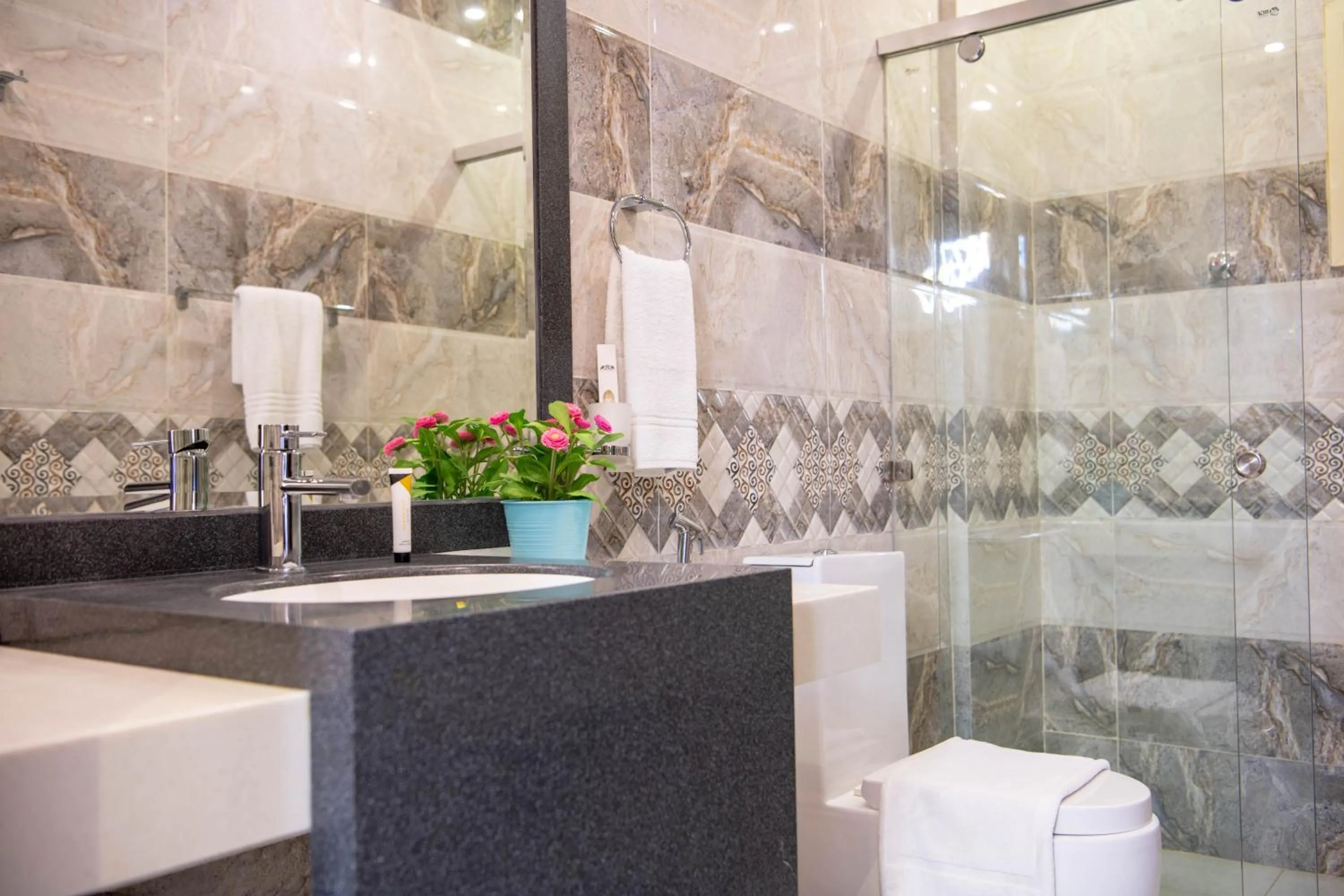 Toilet in Viola Hotel