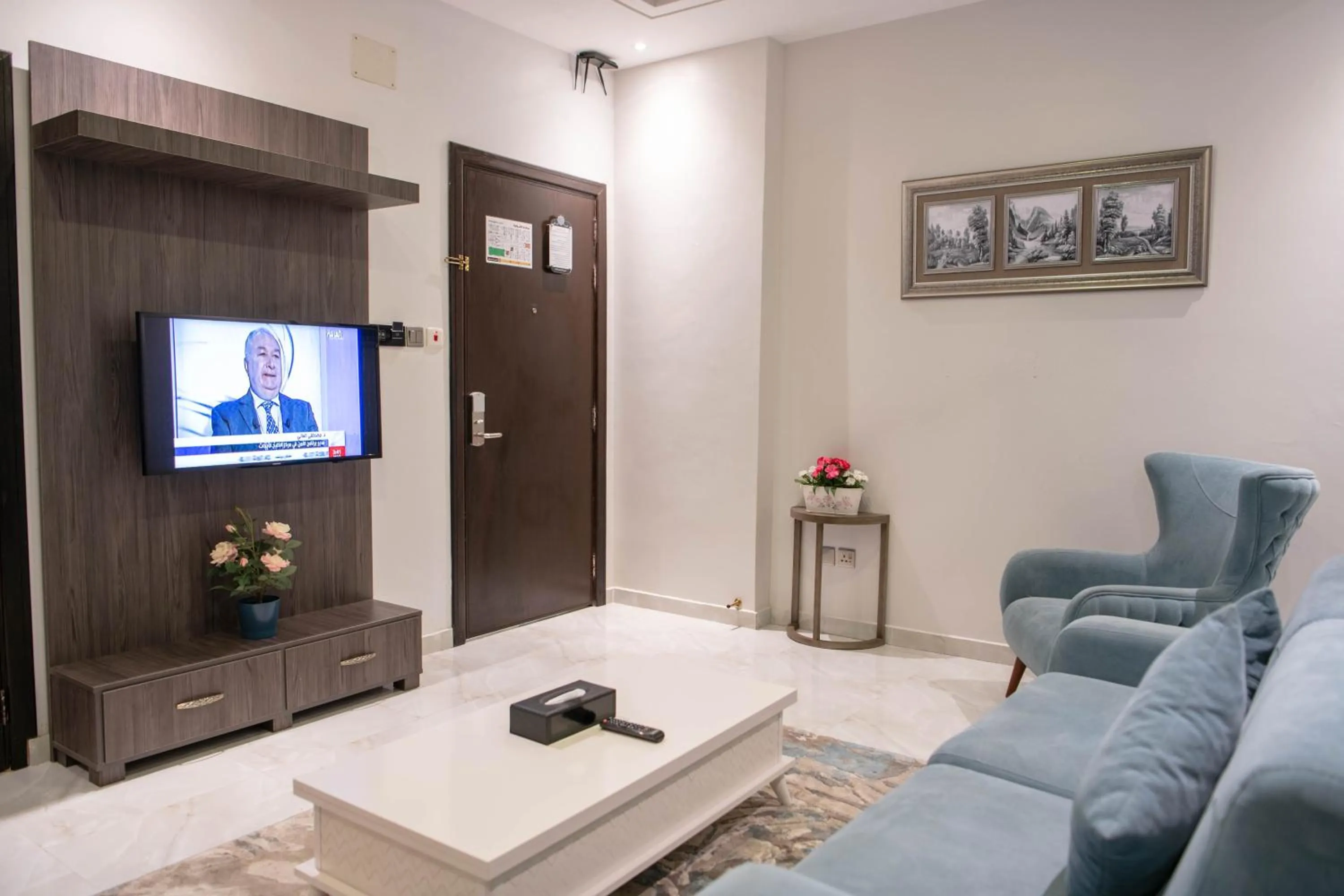 TV and multimedia in Viola Hotel