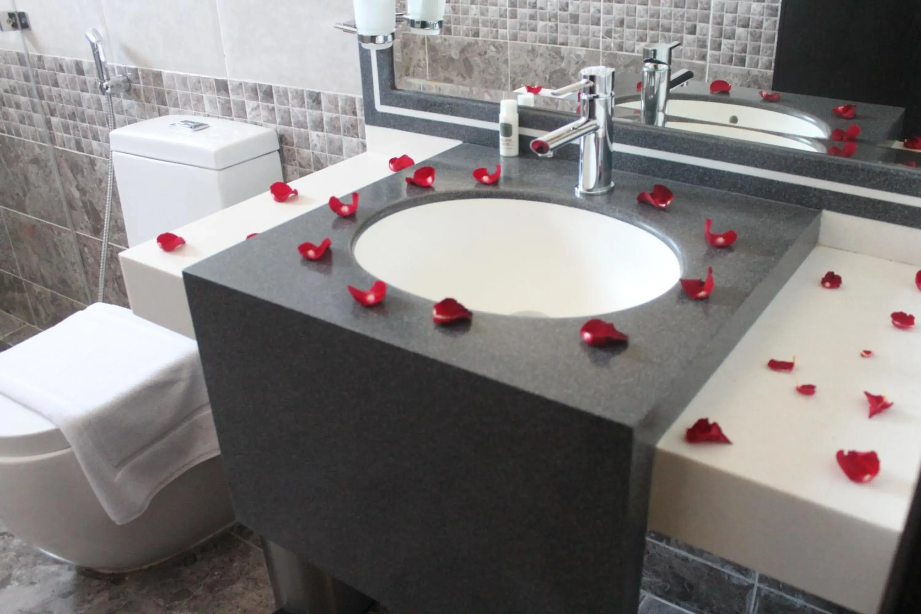 Studio in Viola Hotel Studio in Viola Hotel