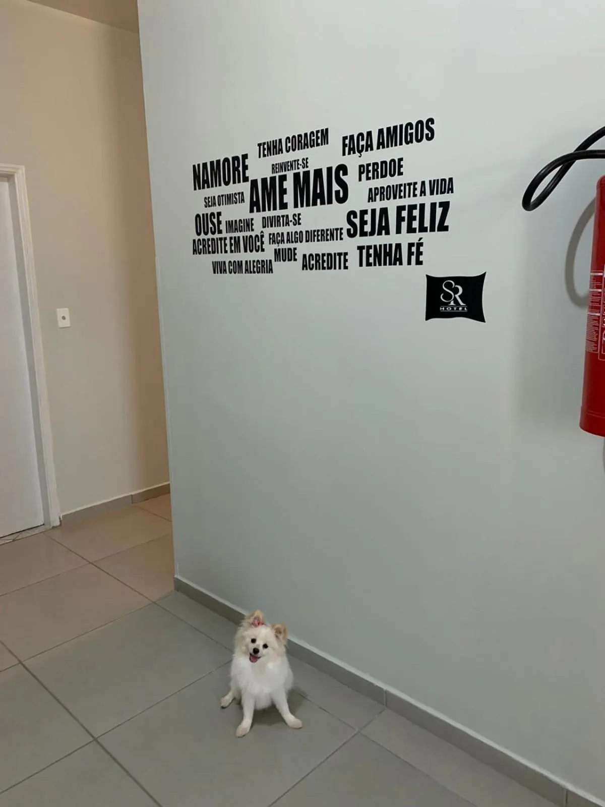 Pets in Santa Rosa Hotel