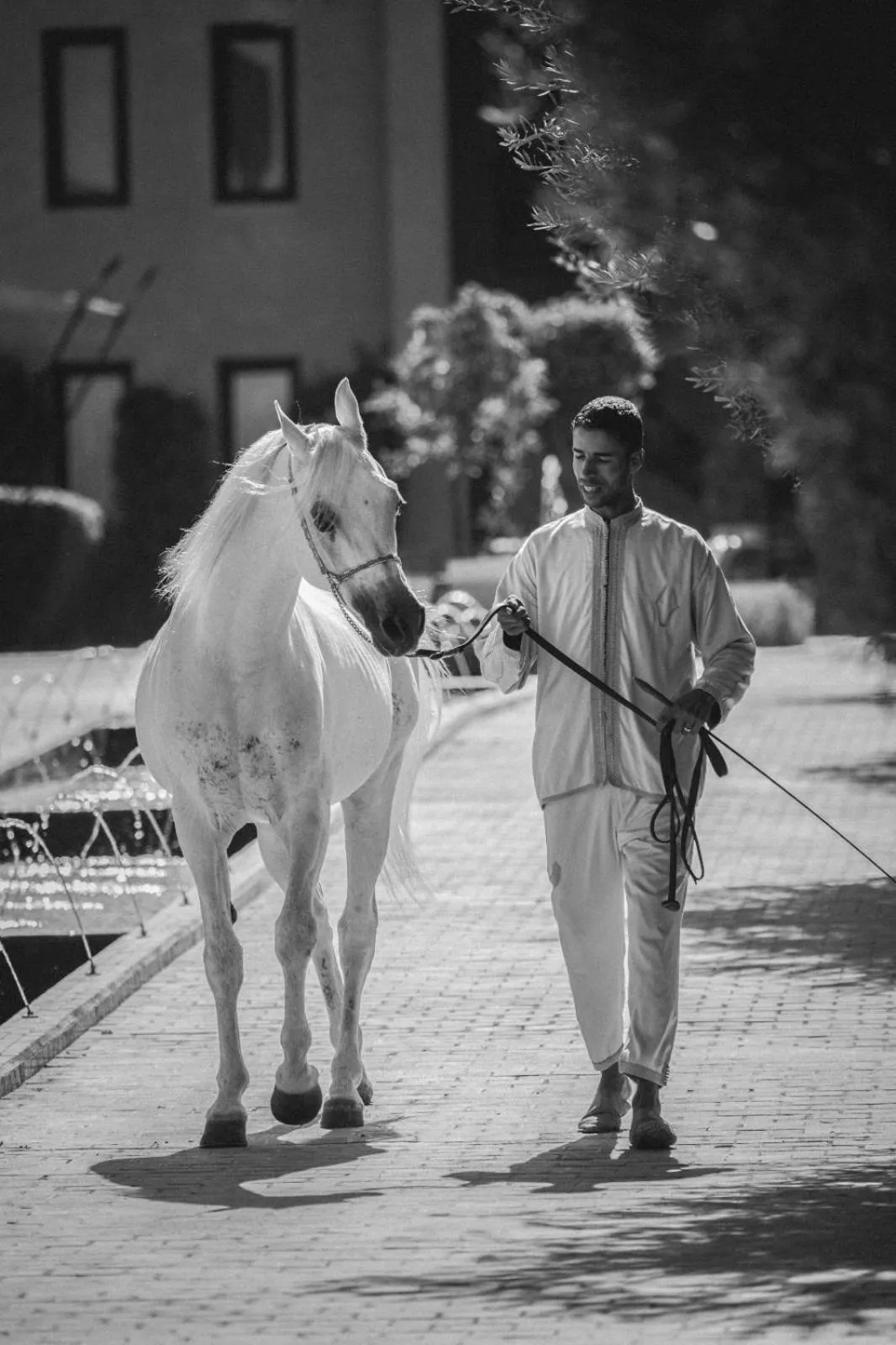 Horse-riding in Selman Marrakech
