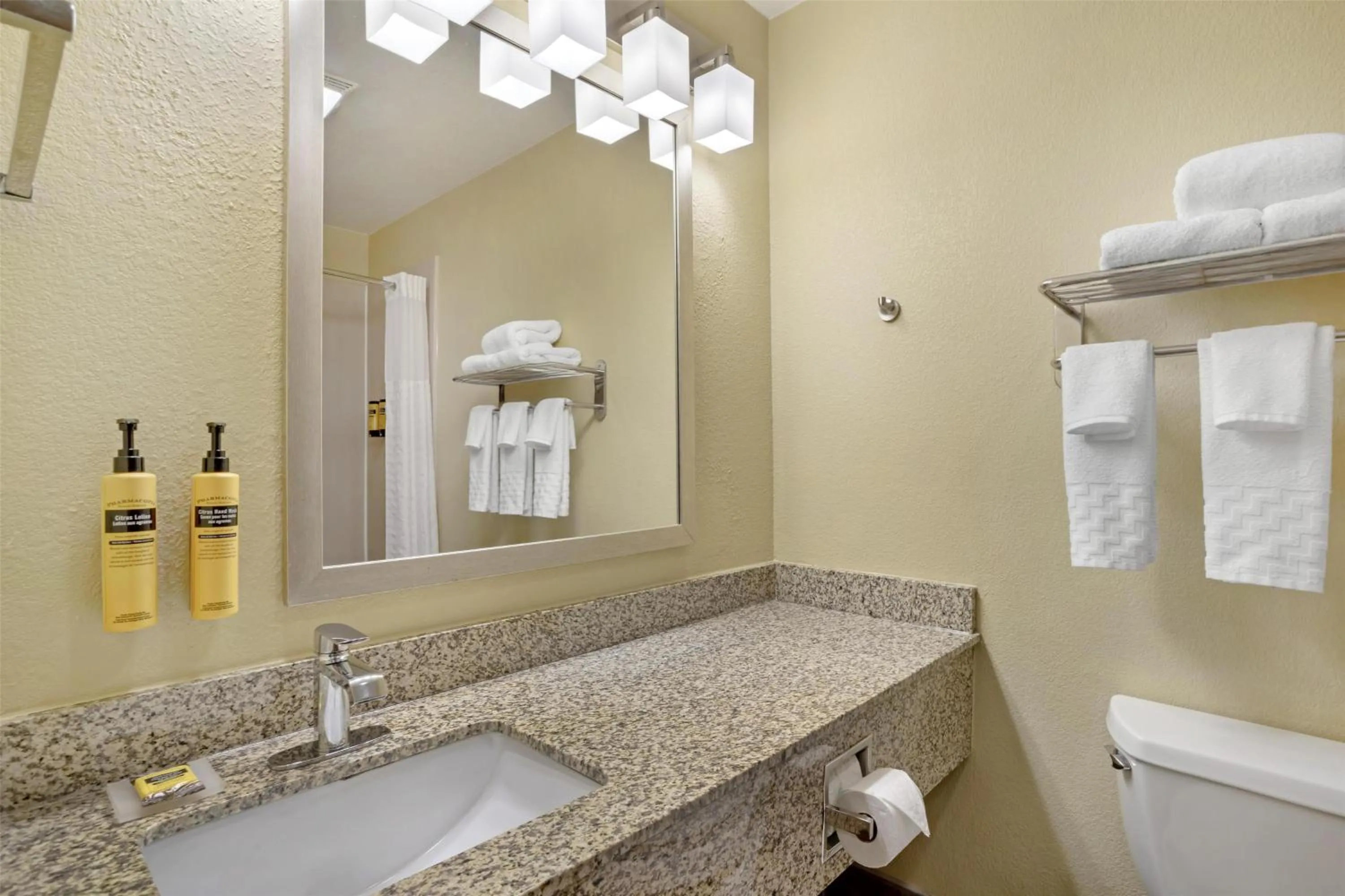 Bathroom in Best Western Plus Executive Hotel & Suites