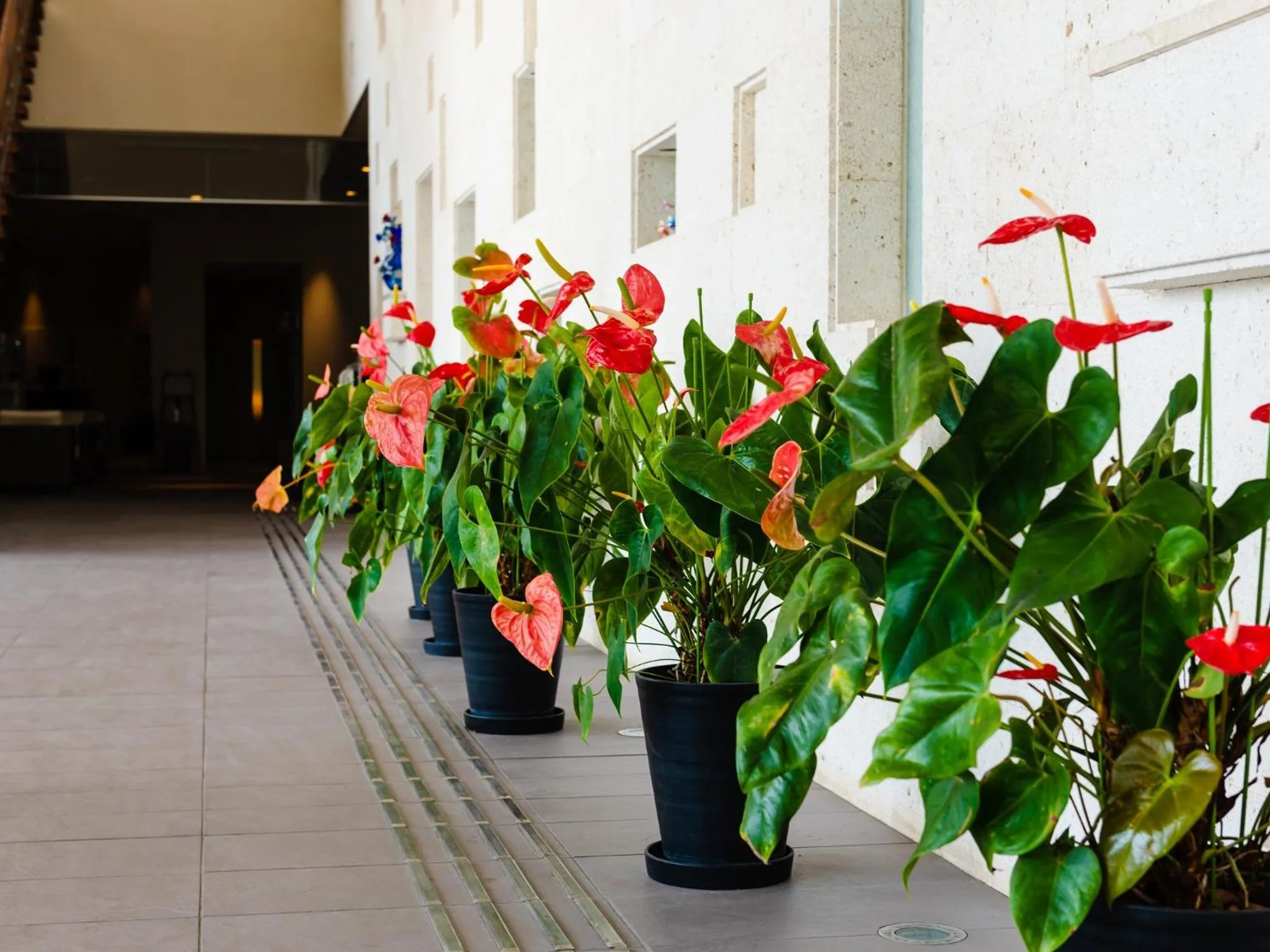 Lobby or reception in Hotel Resonex Nago