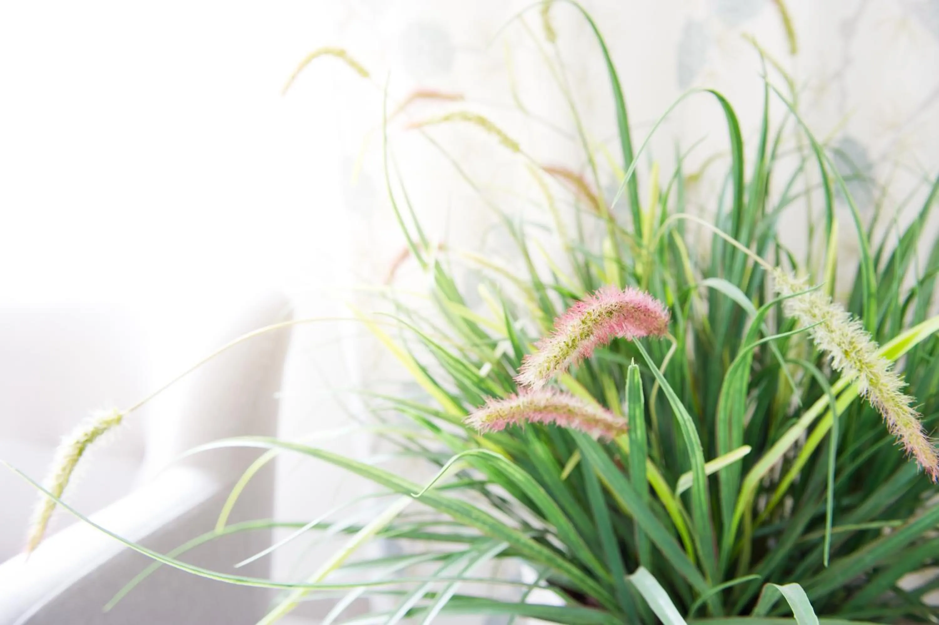 Lobby or reception in Attendo Park Hotell