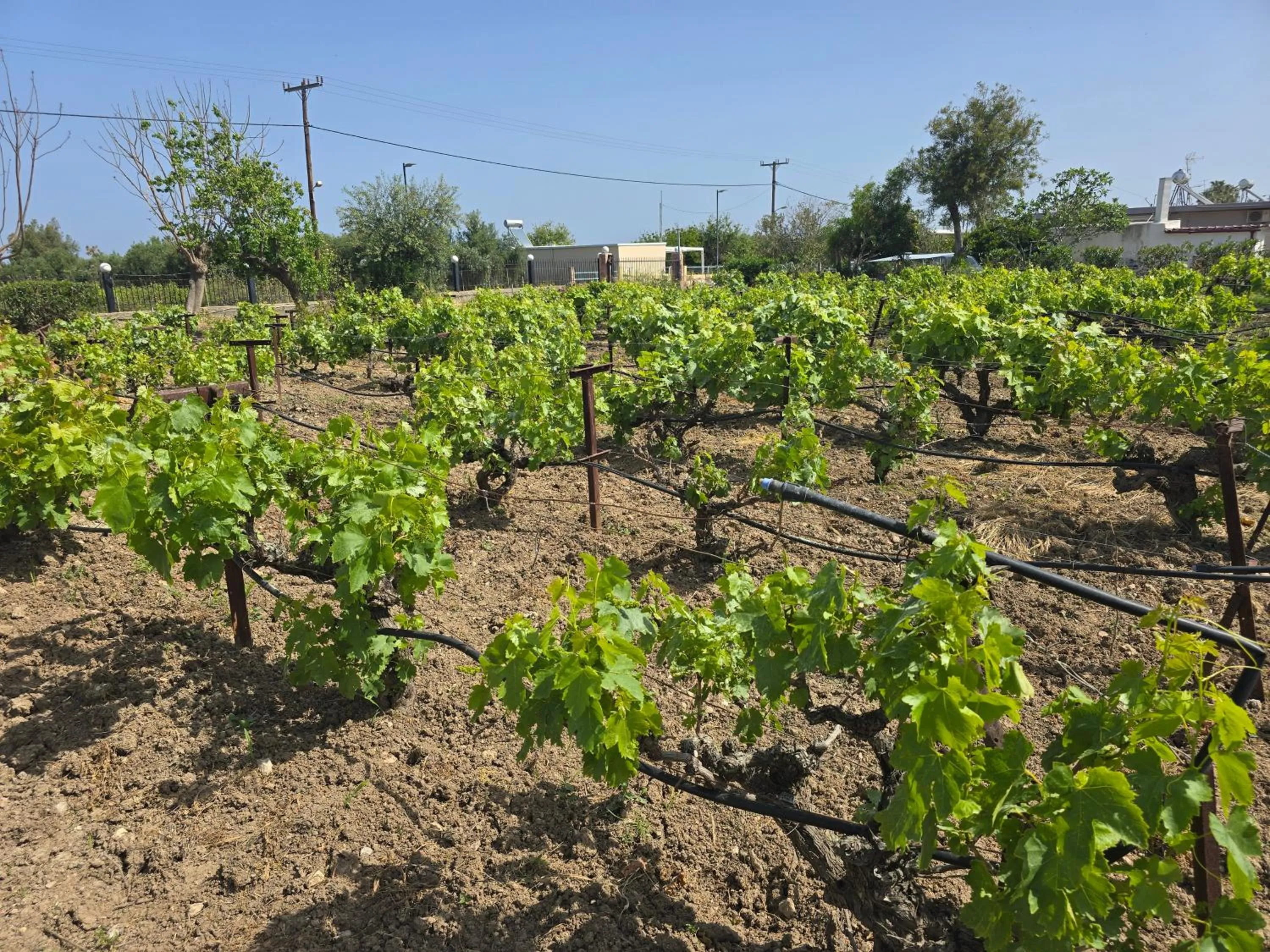 ILIOS K Village Resort