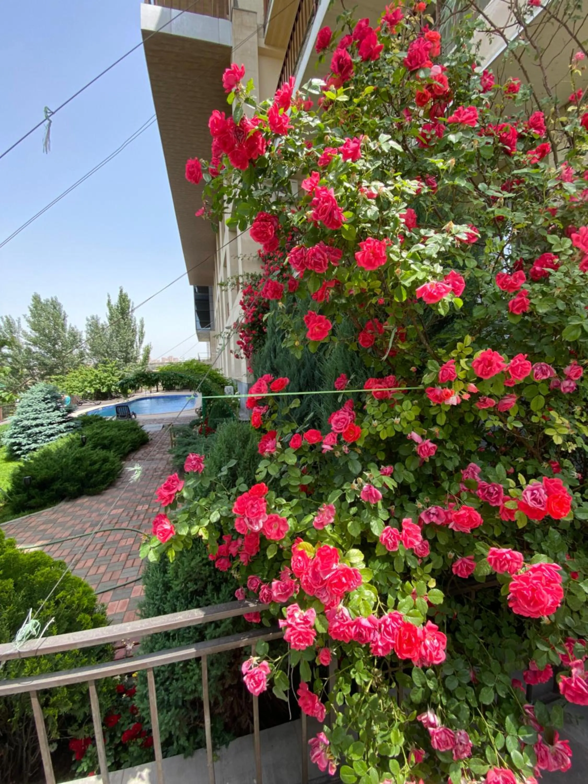 Property building in Olympia Garden Hotel