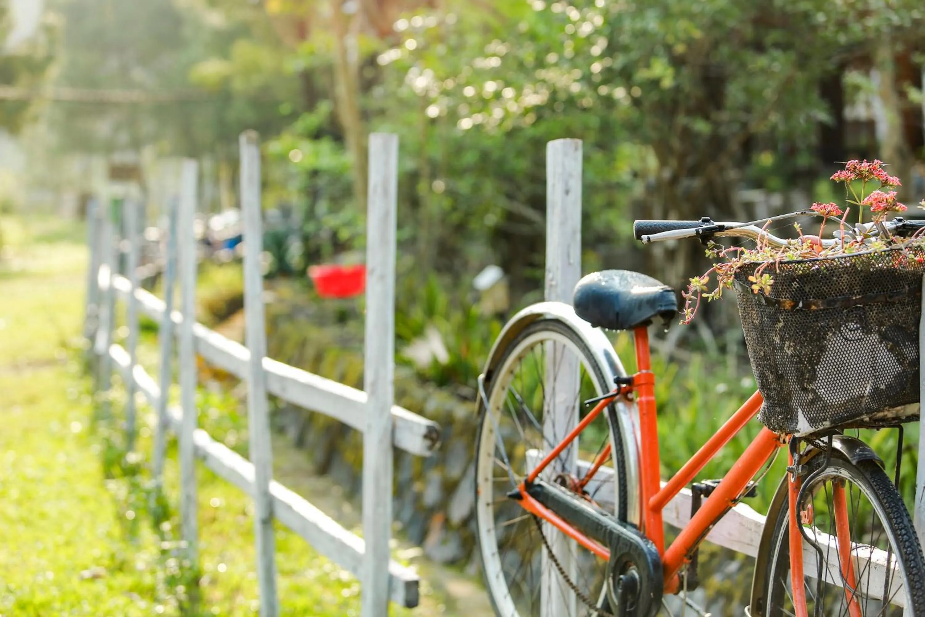 Living room in Cat Ba Eco Lodge
