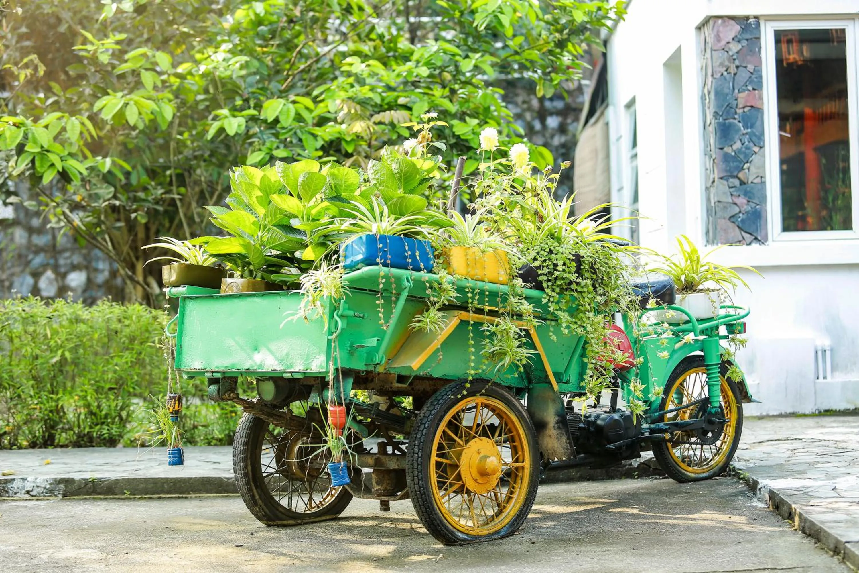 Living room in Cat Ba Eco Lodge