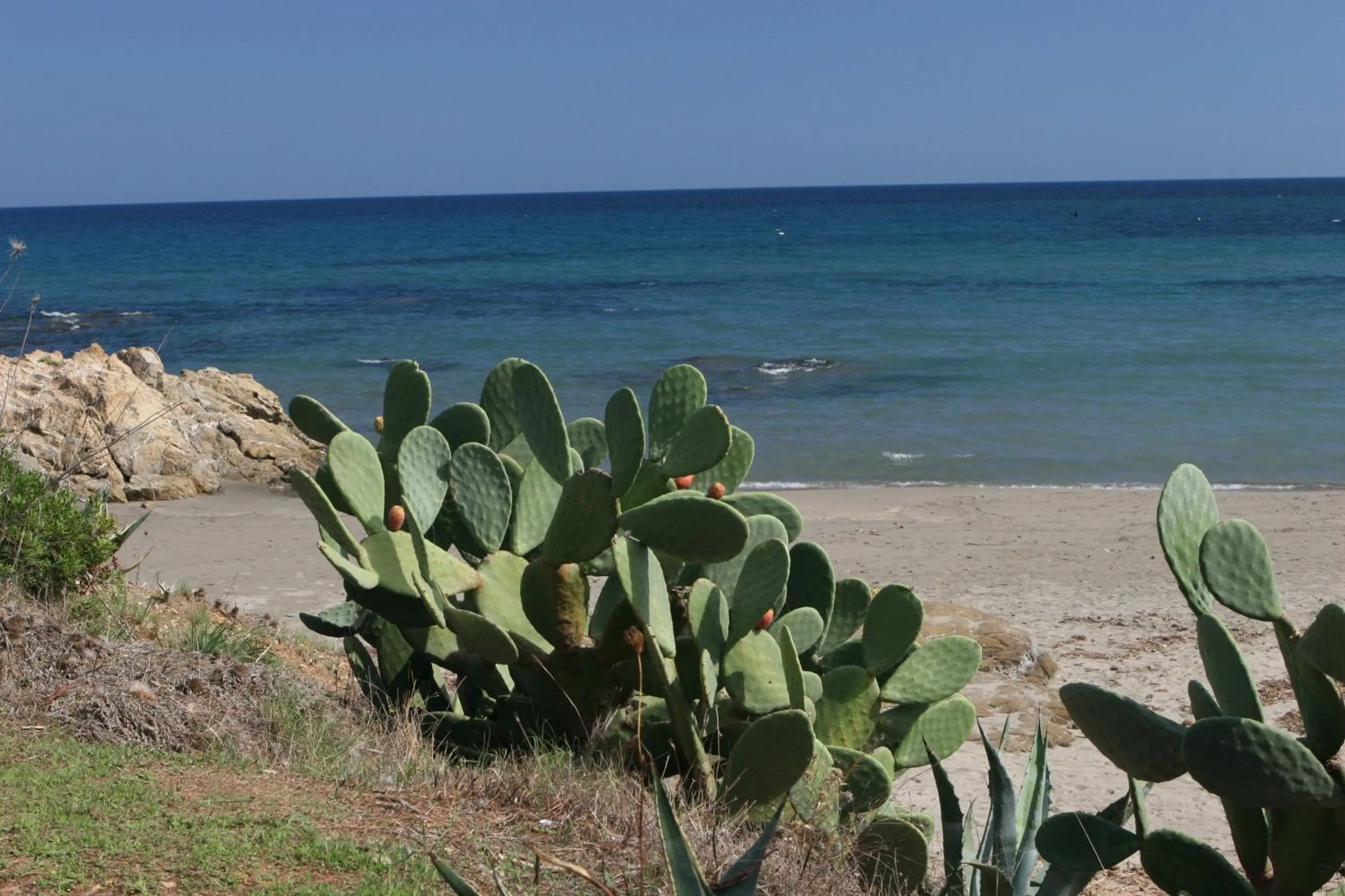 Beach in Residence Il Borgo di Porto Corallo