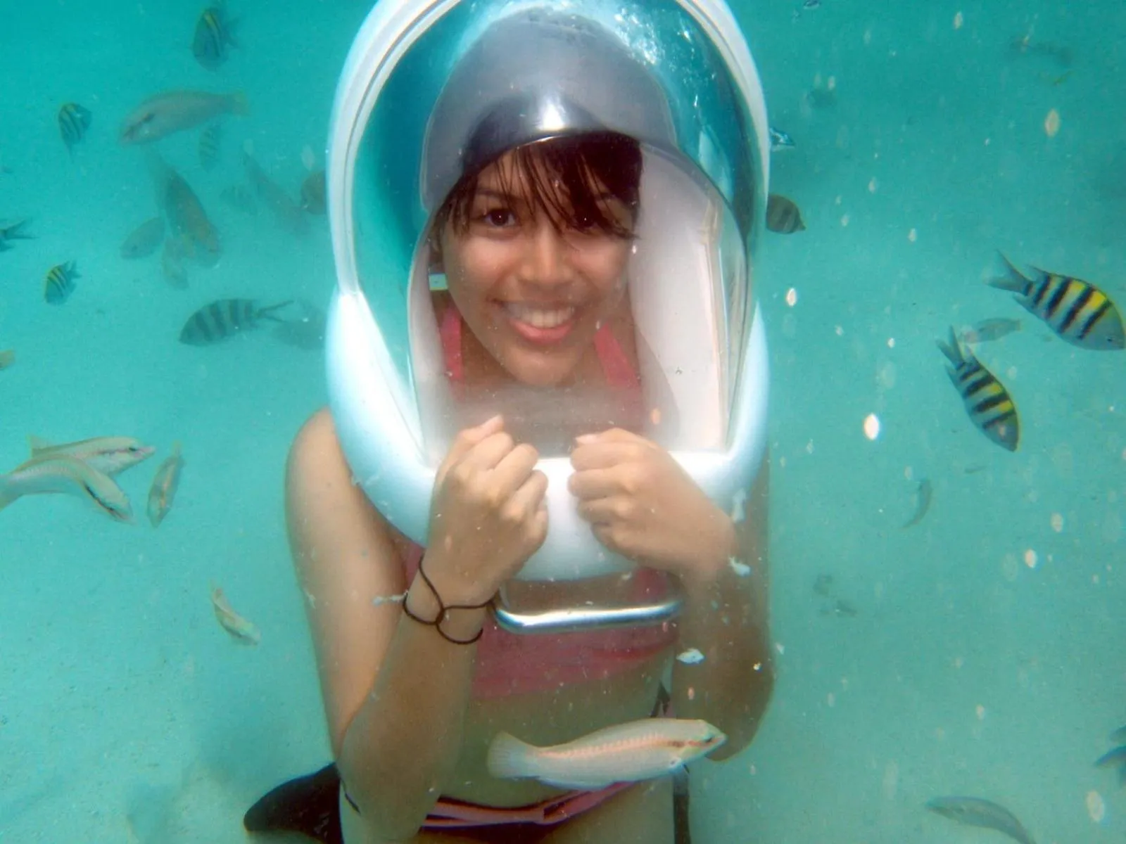 Pets in Surfside Boracay Resort