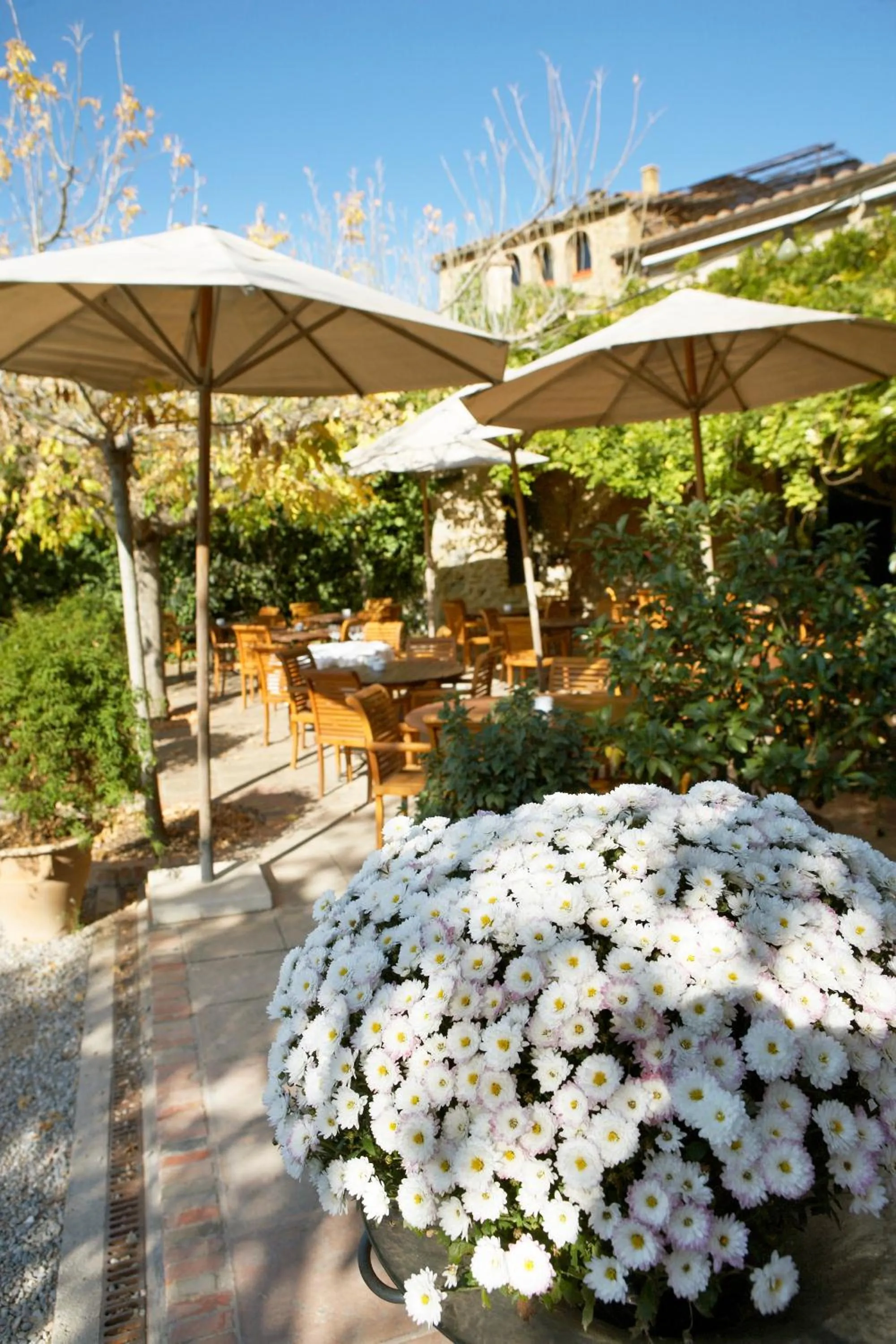Balcony/Terrace in Hotel la Plaça Madremanya