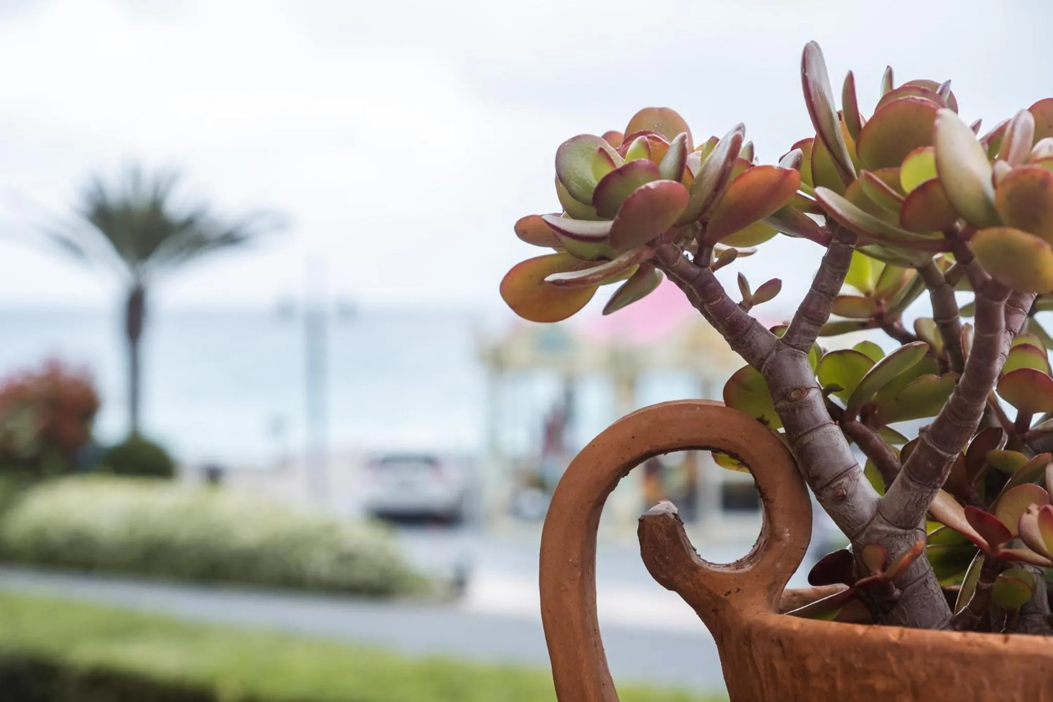 Property building in Hotel Miramare