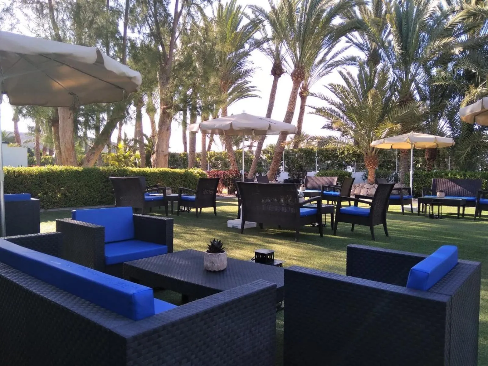 Garden in R2 Romantic Fantasia Suites - Adults Only