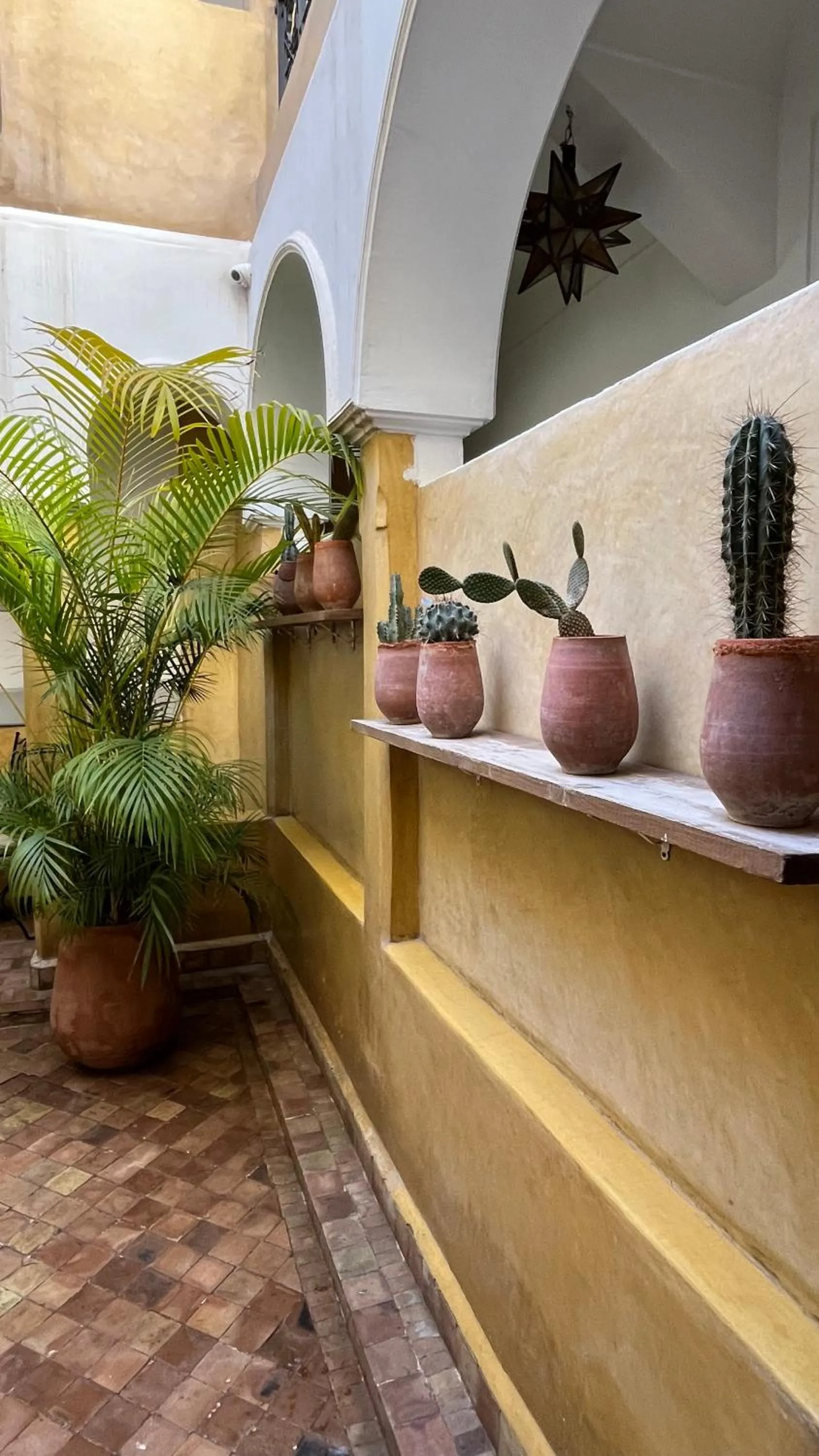 Garden in Riad Laila