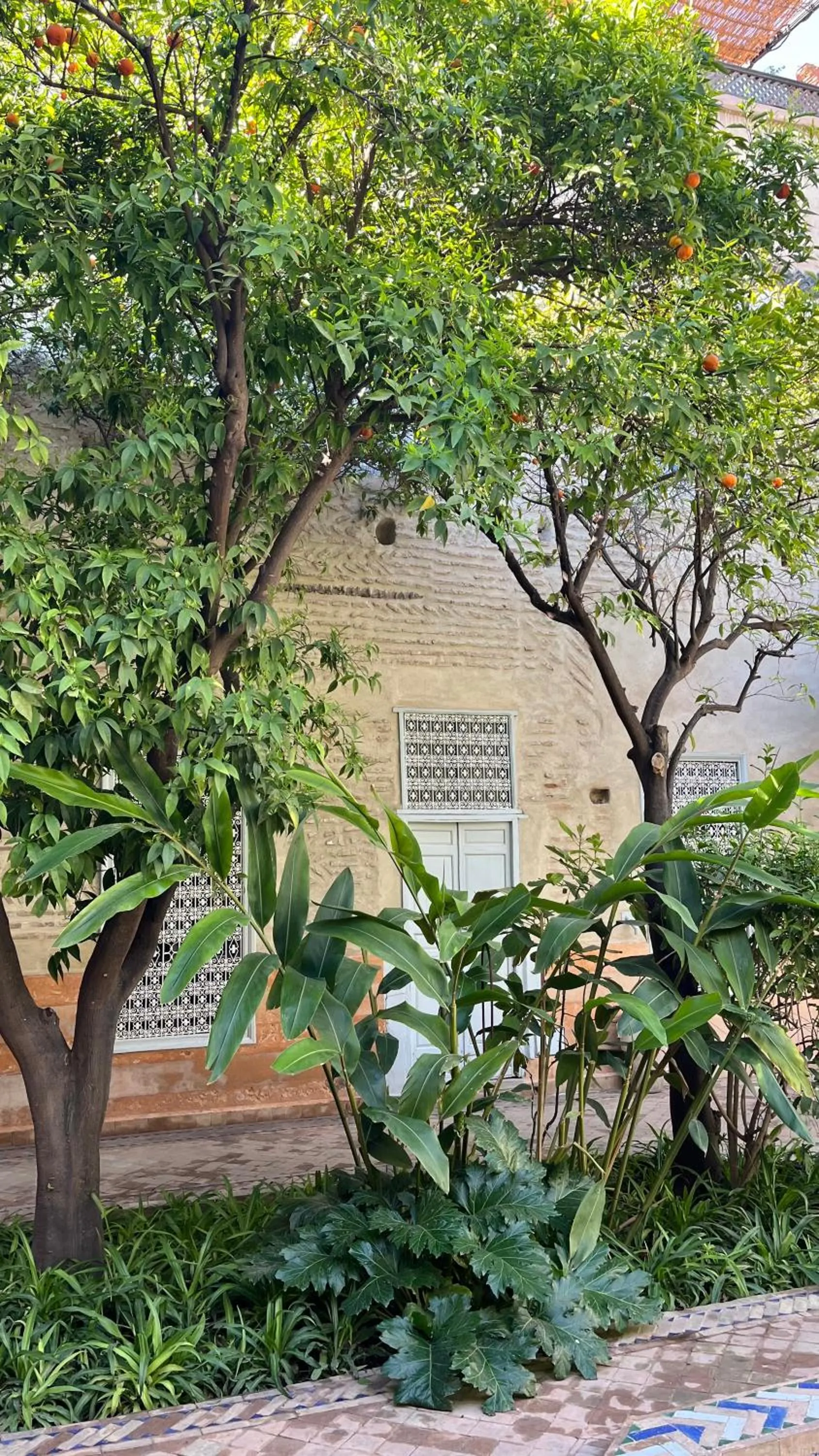 View (from property/room) in Riad Laila