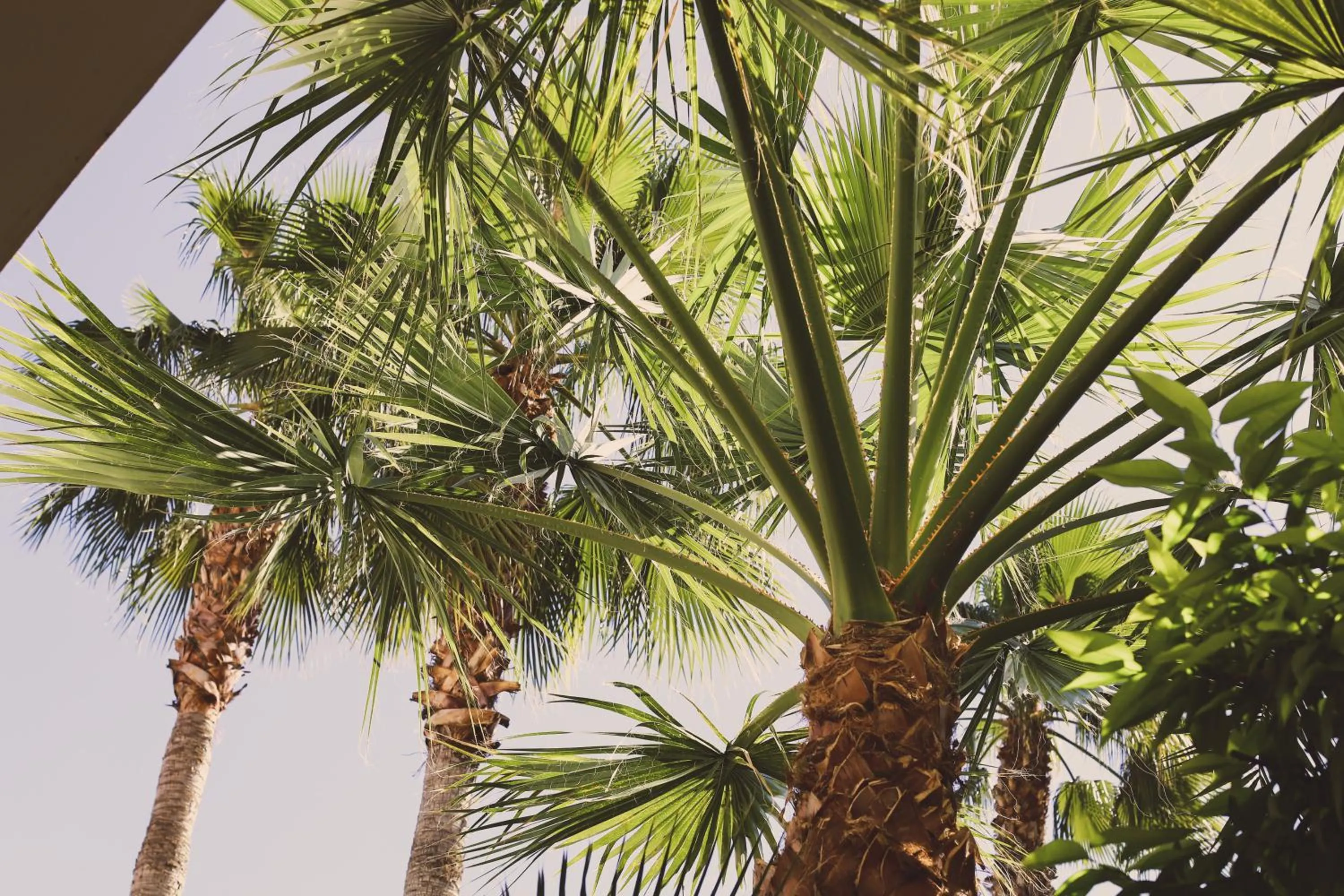 Natural landscape in Riad Laila