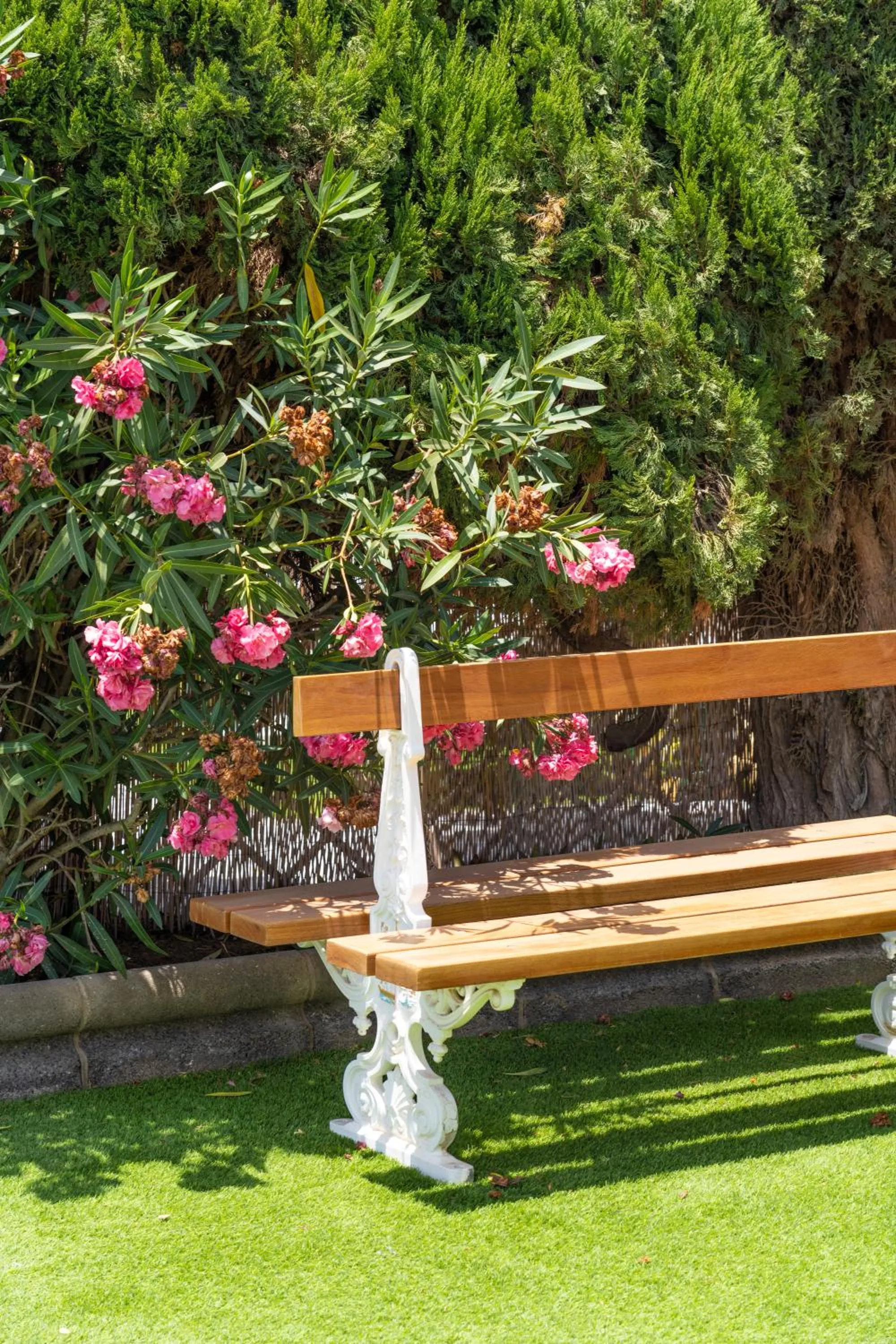 Garden in Bungalows Las Almenas