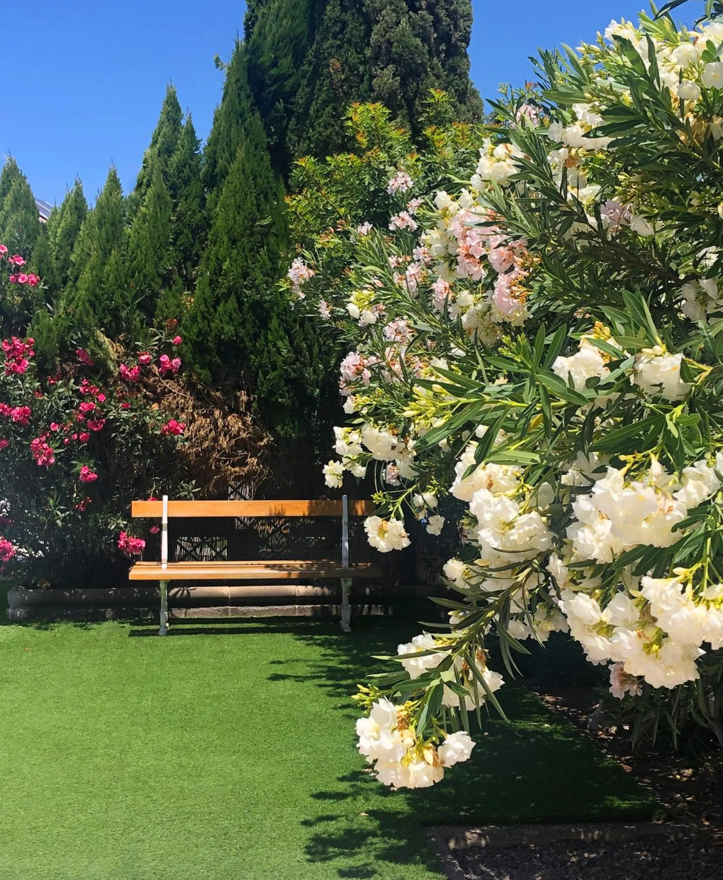 Garden in Bungalows Las Almenas