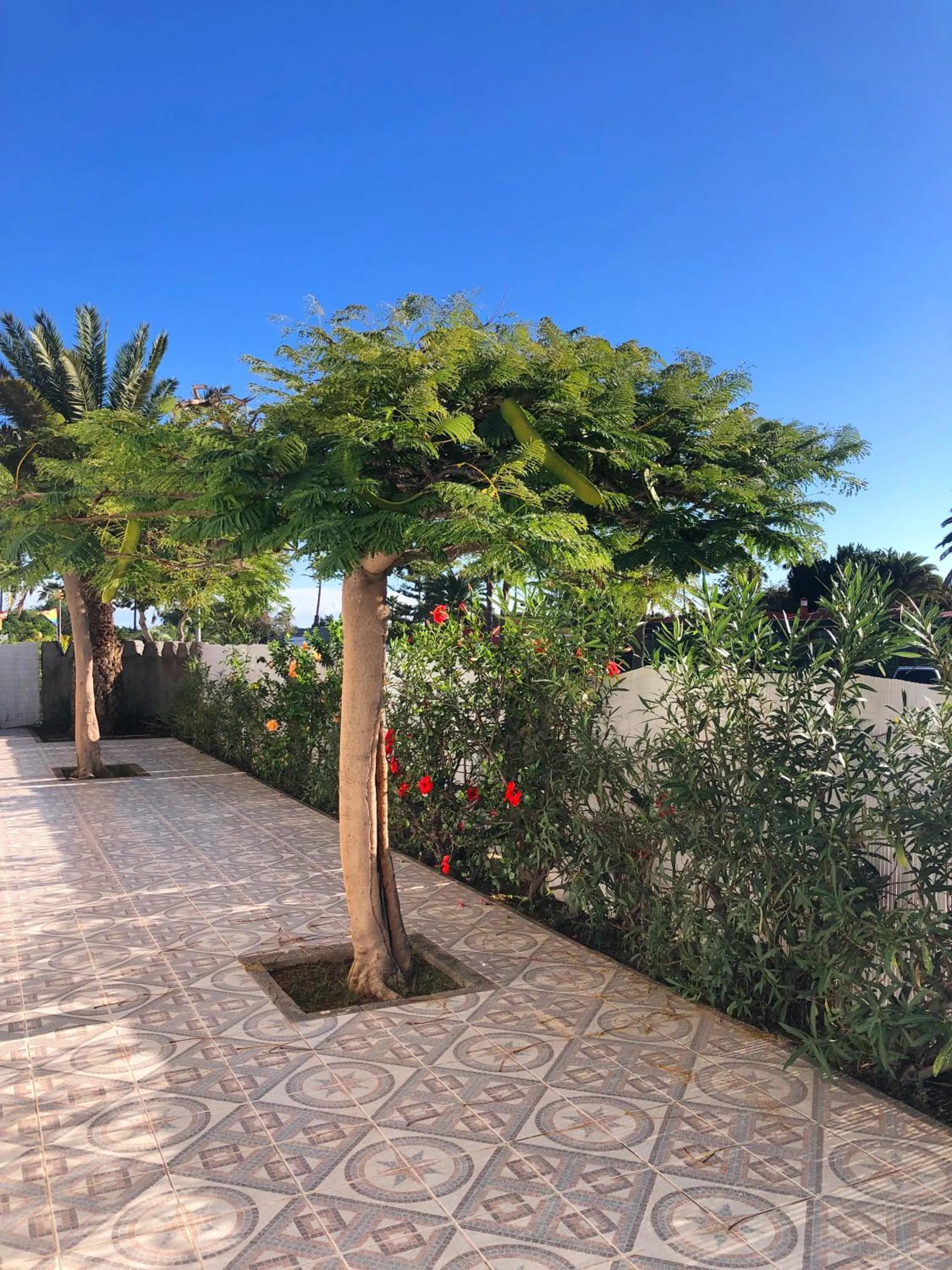 Property building in Bungalows Las Almenas