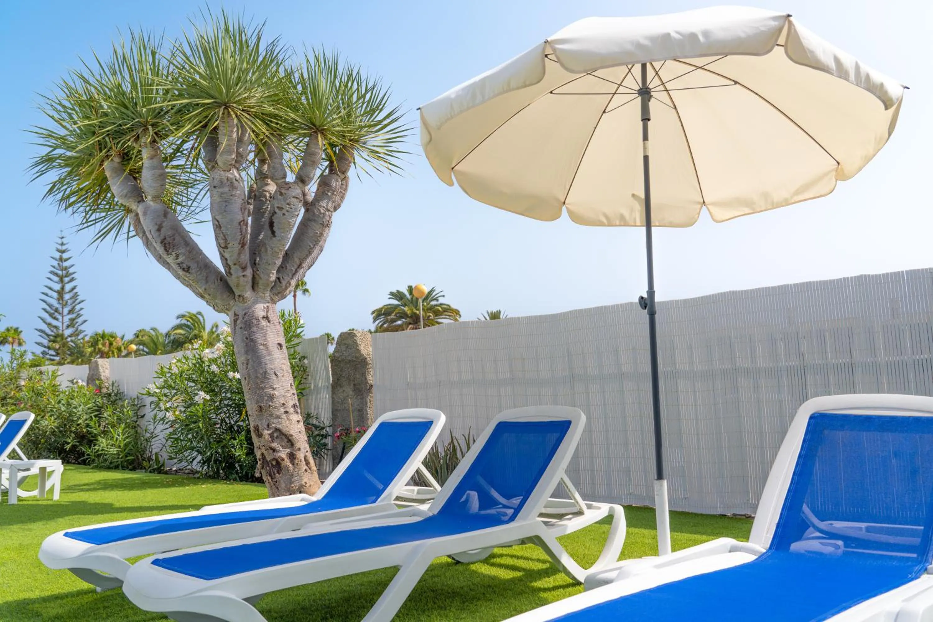 Spring in Bungalows Las Almenas