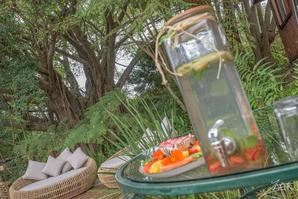 Day in The Fernery Lodge & Spa