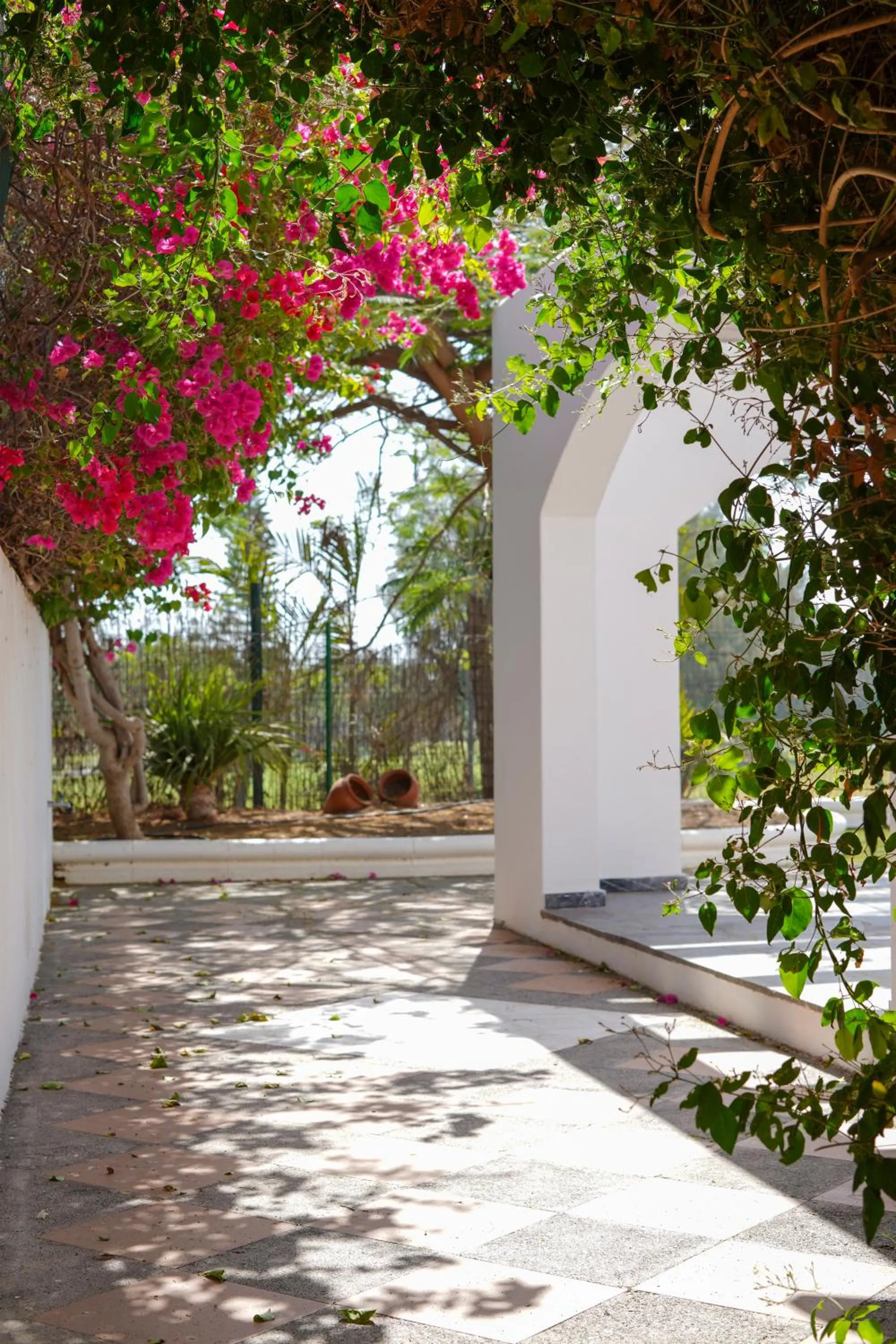 Garden in Villas Las Almenas