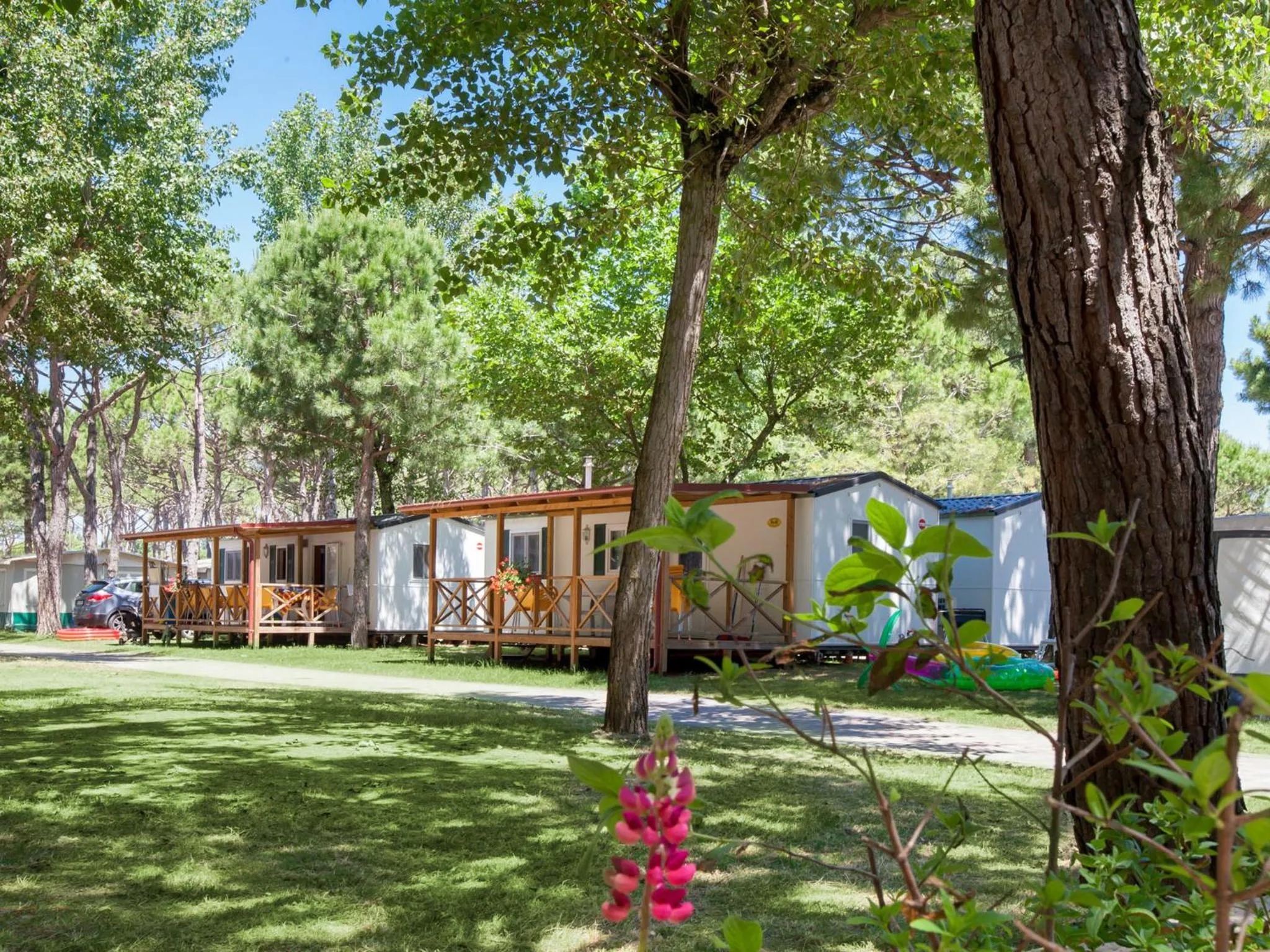 Other in Ca' Pasquali Village