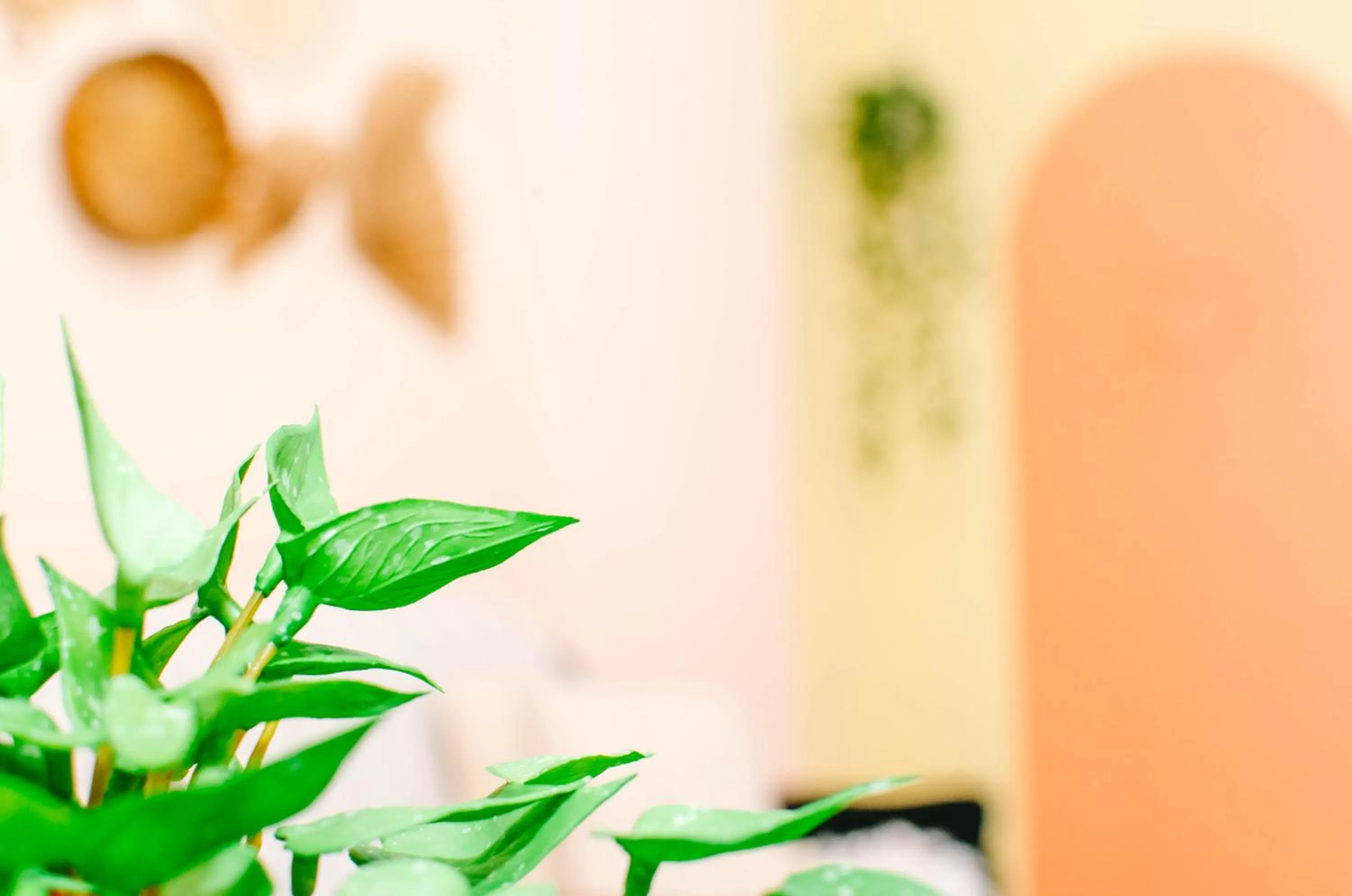 Apto lindo e aconchegante com piscina 202A