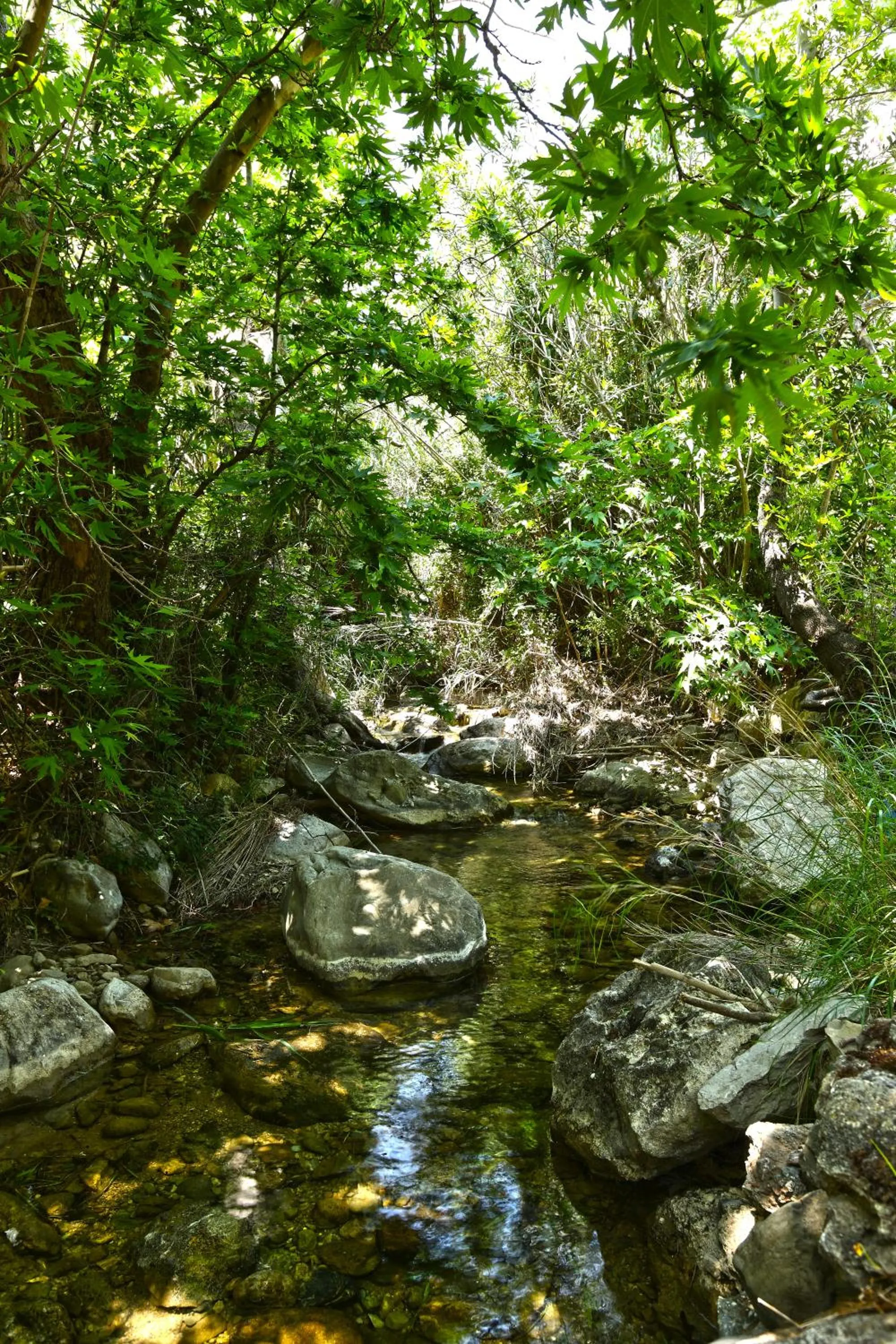 Day in Aspros Potamos